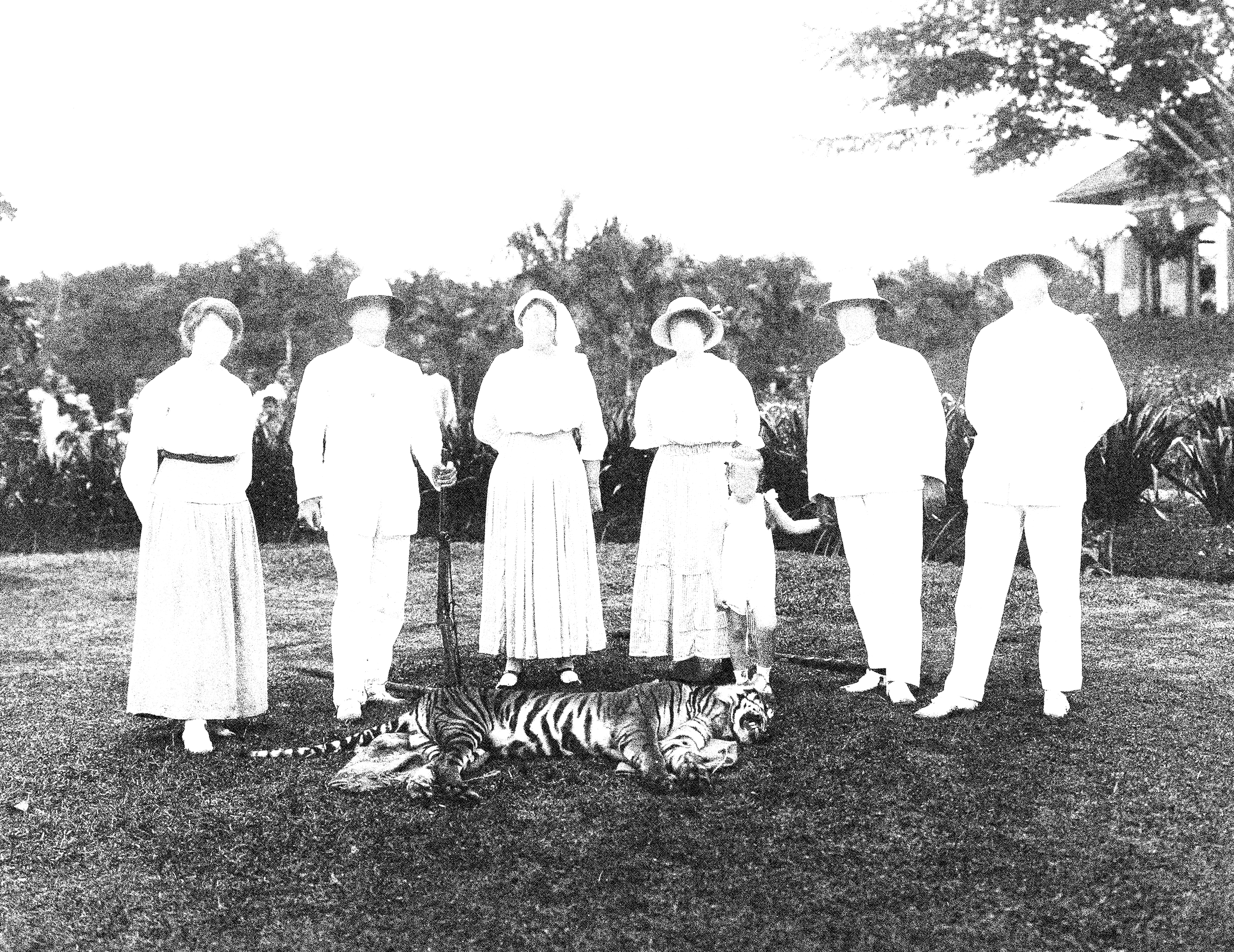 Meat, Magic, Machine