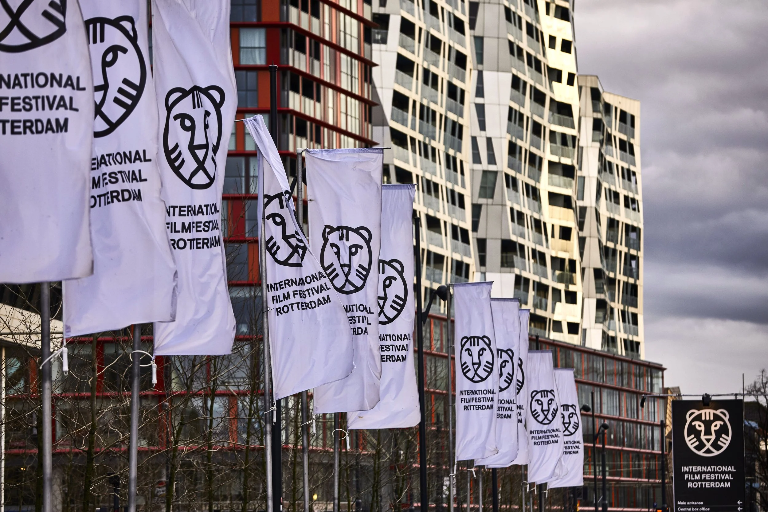 300724-IFFR8-1c1830-original-1547212950.JPG