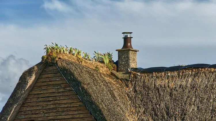 Spotlight - April 2024