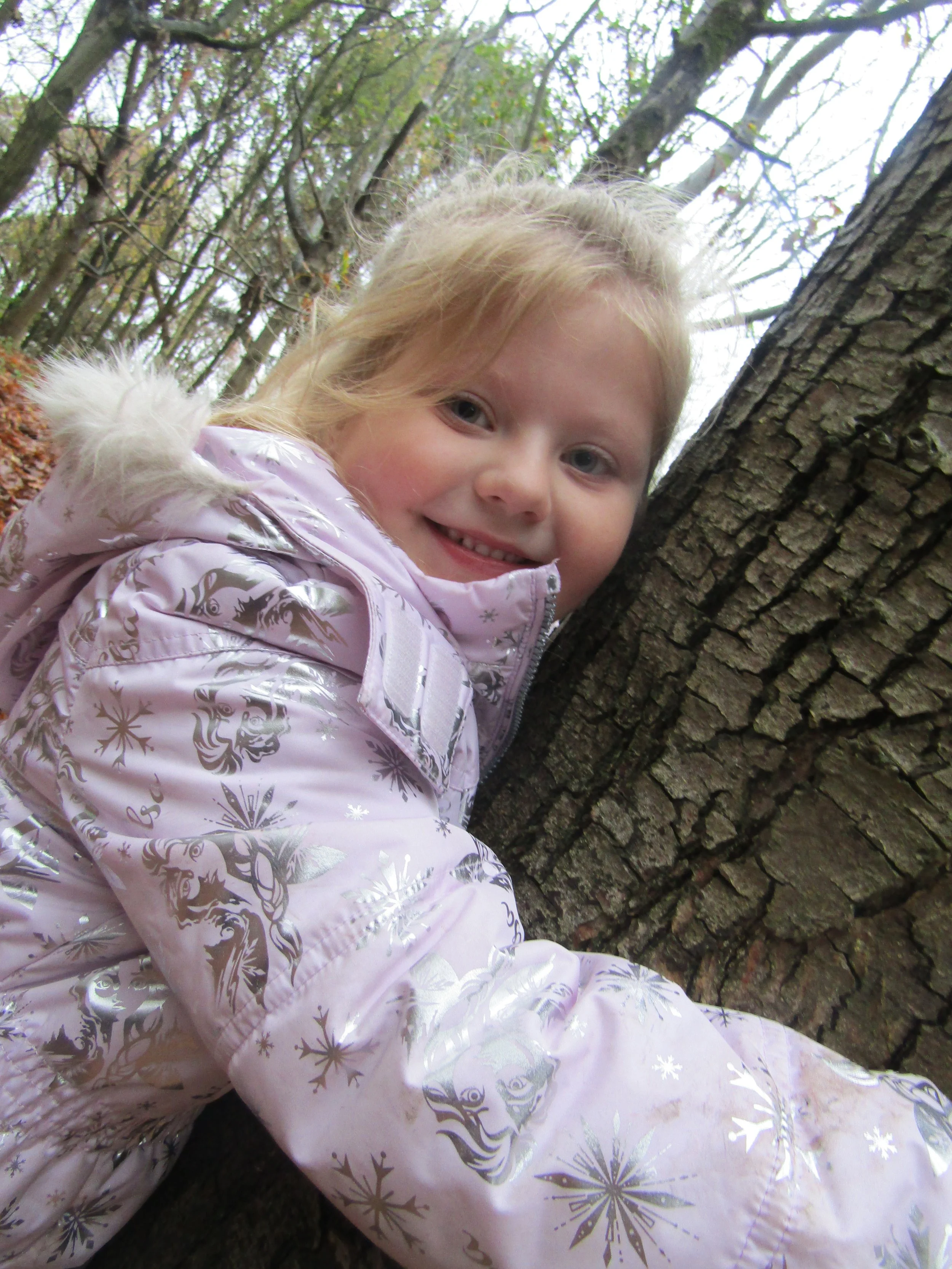 Friends of the Forest!