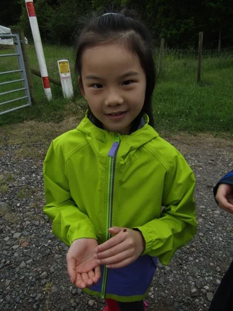 AH with ladybirds.JPG
