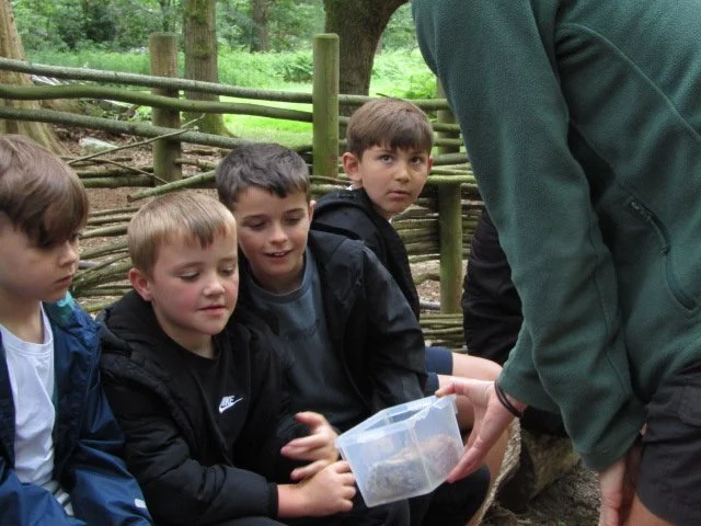 looking at nests.JPG