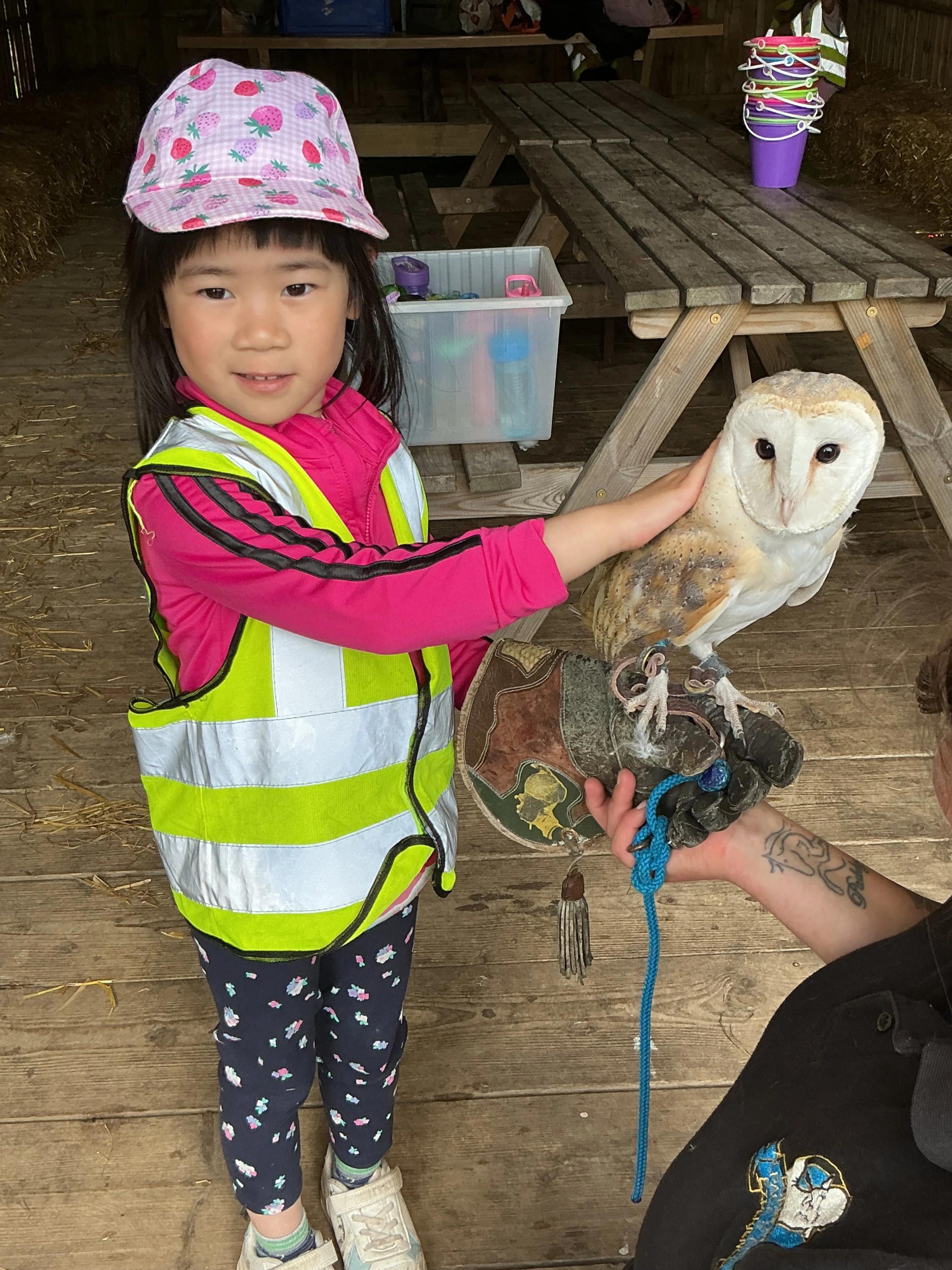 Farm Fun in Nursery!&nbsp;