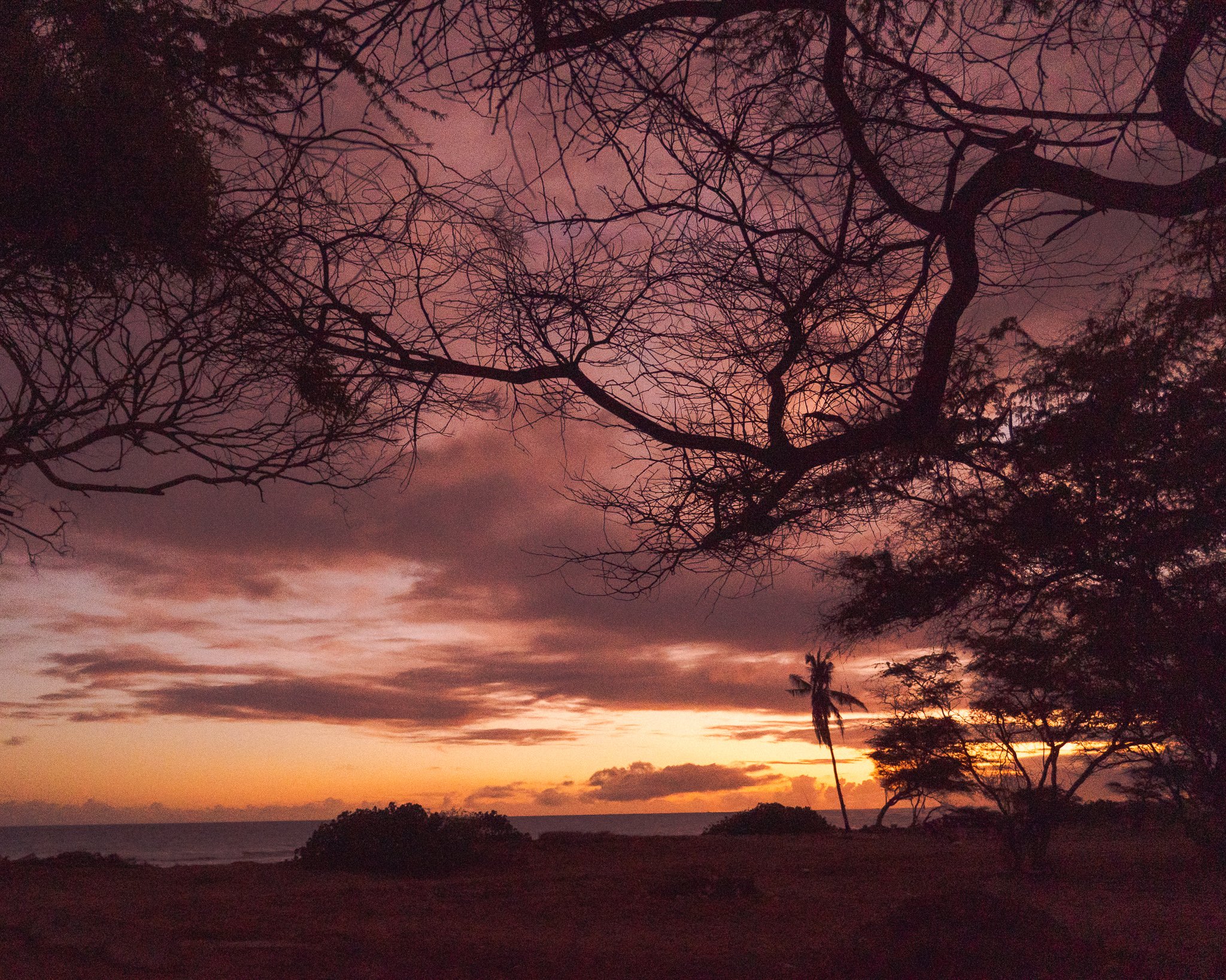 JaxPreciado_FallSunsetMauve_CROPPED_8X10_Web_2048px_sRGB.jpg