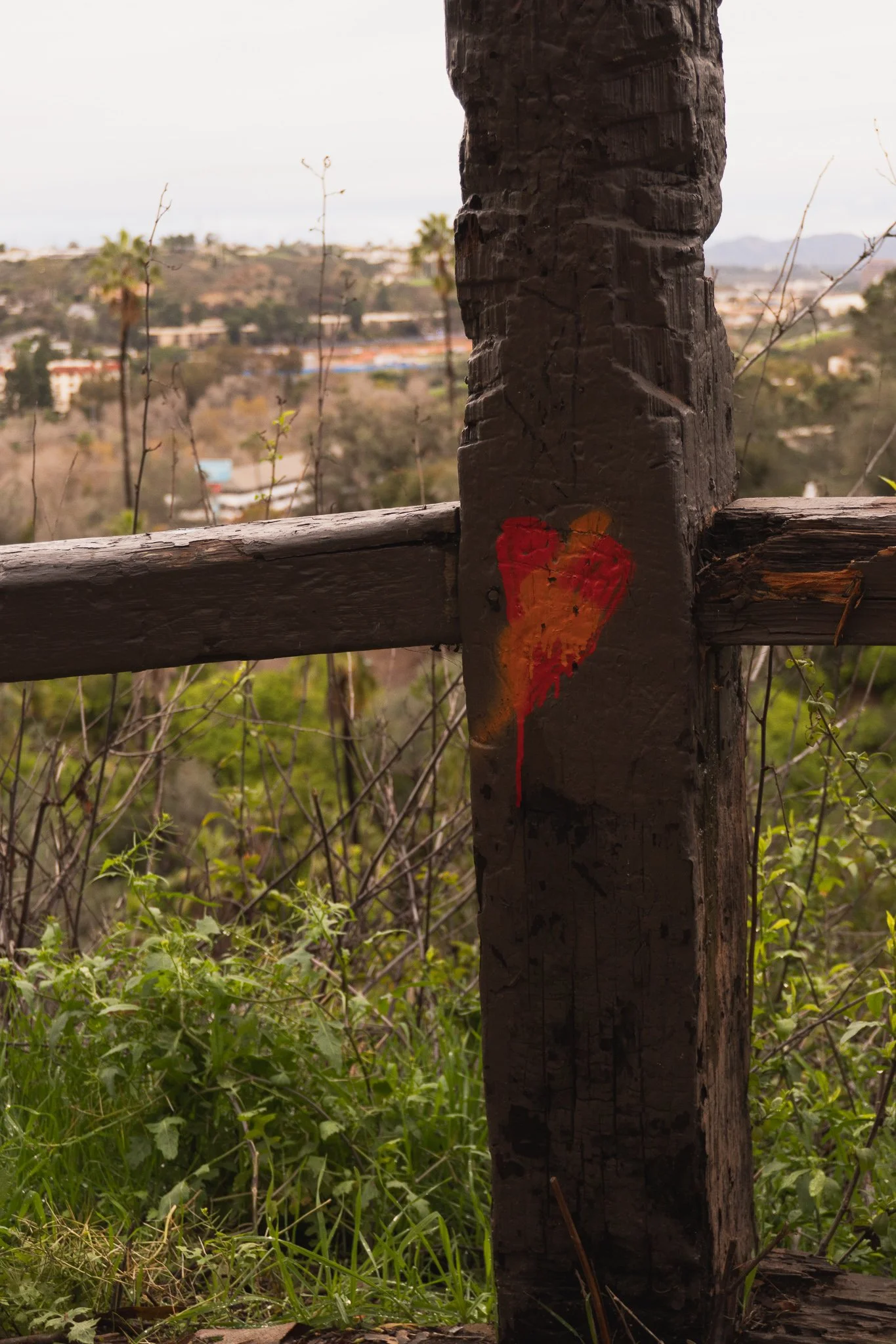 2026_red_painted_heart_sandiegobackdrop_Web_2048px_sRGB.jpg.jpg