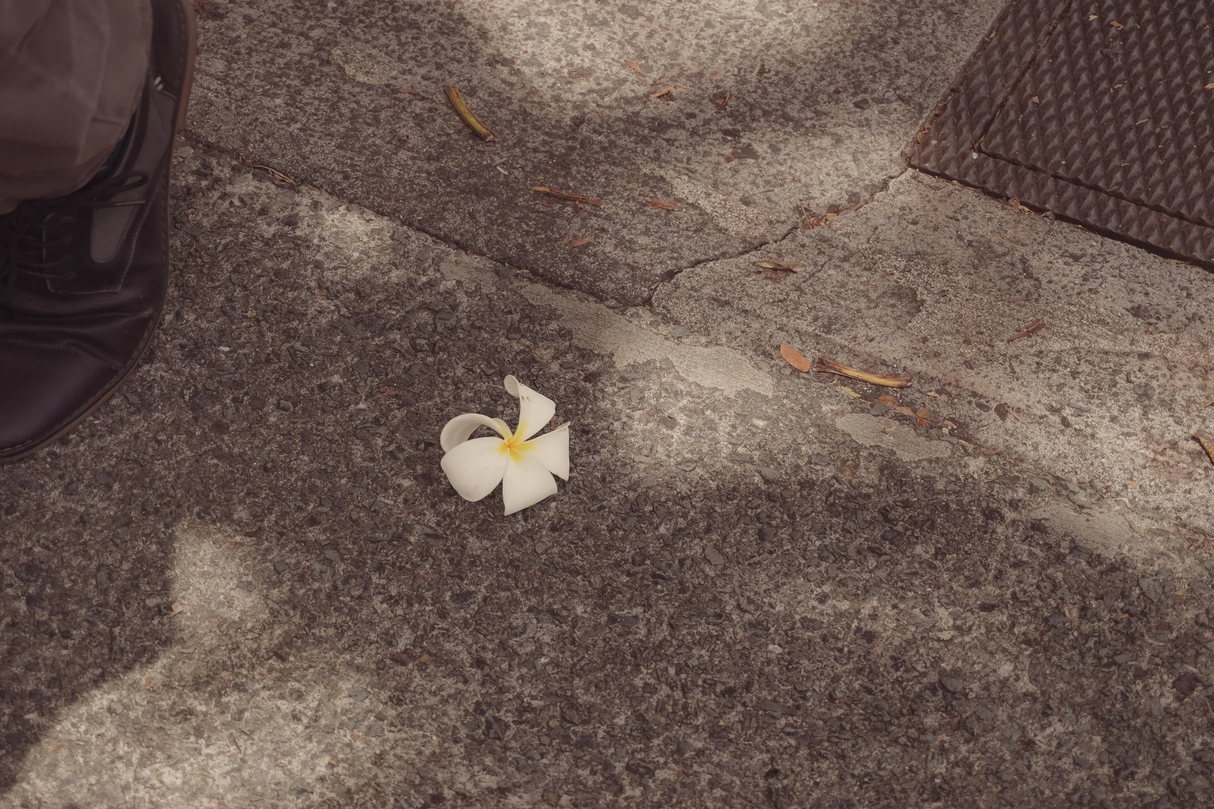 2026.04.17_Plumeria_Concrete_shoe_metal_exture_web.jpg