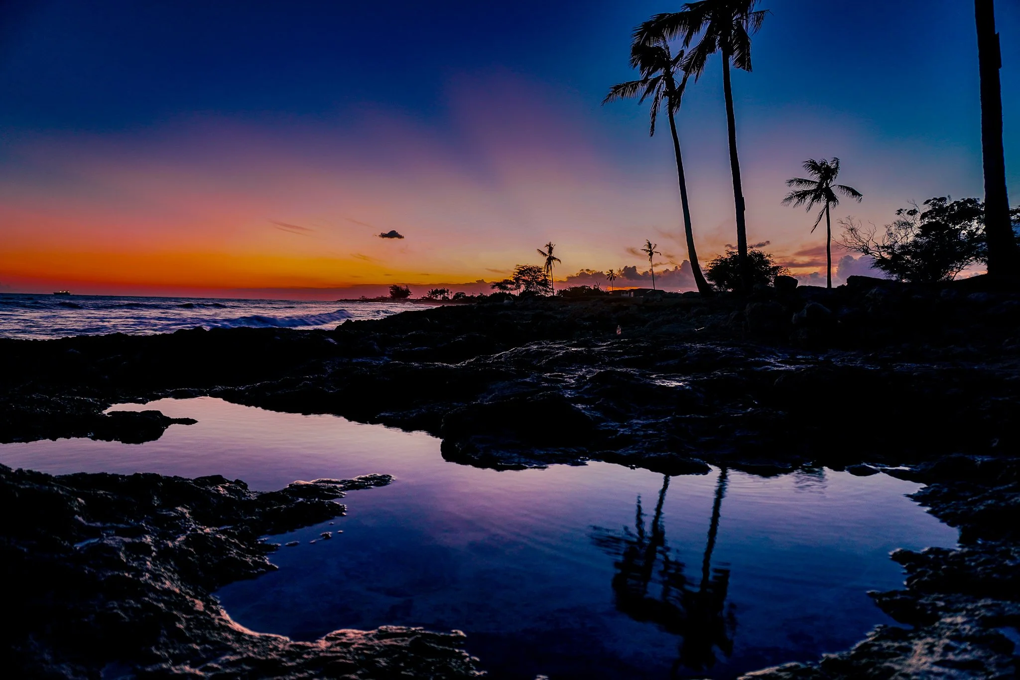 JaxPreciado_SunsetPalmsReflection_Web_2048px_sRGB.jpg.jpg