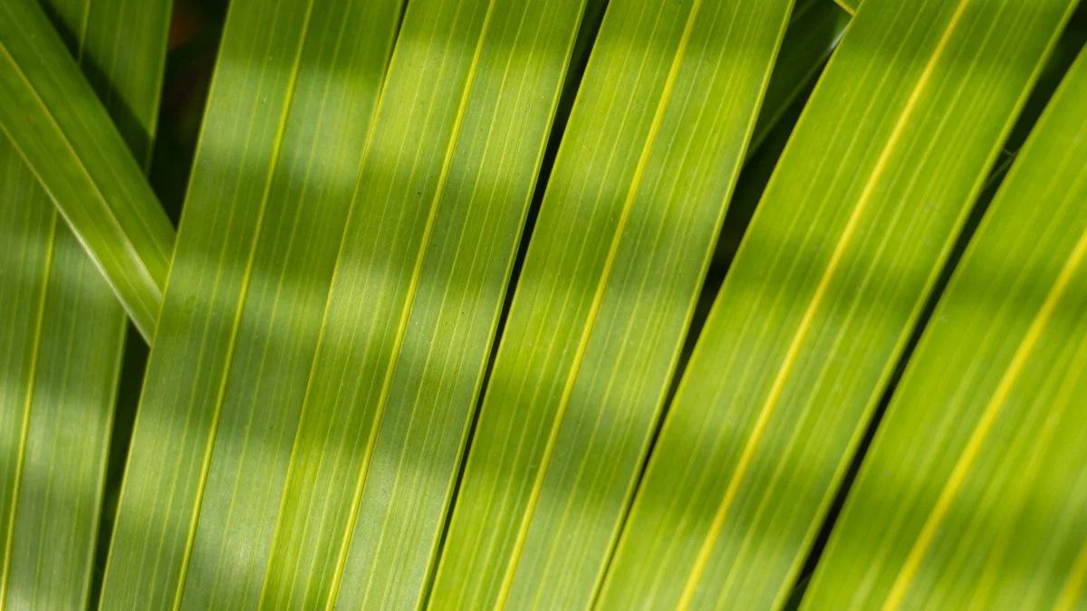 JP-1013_B_tropical-palm-leaf-pattern-hawaii-banner_preview.jpg