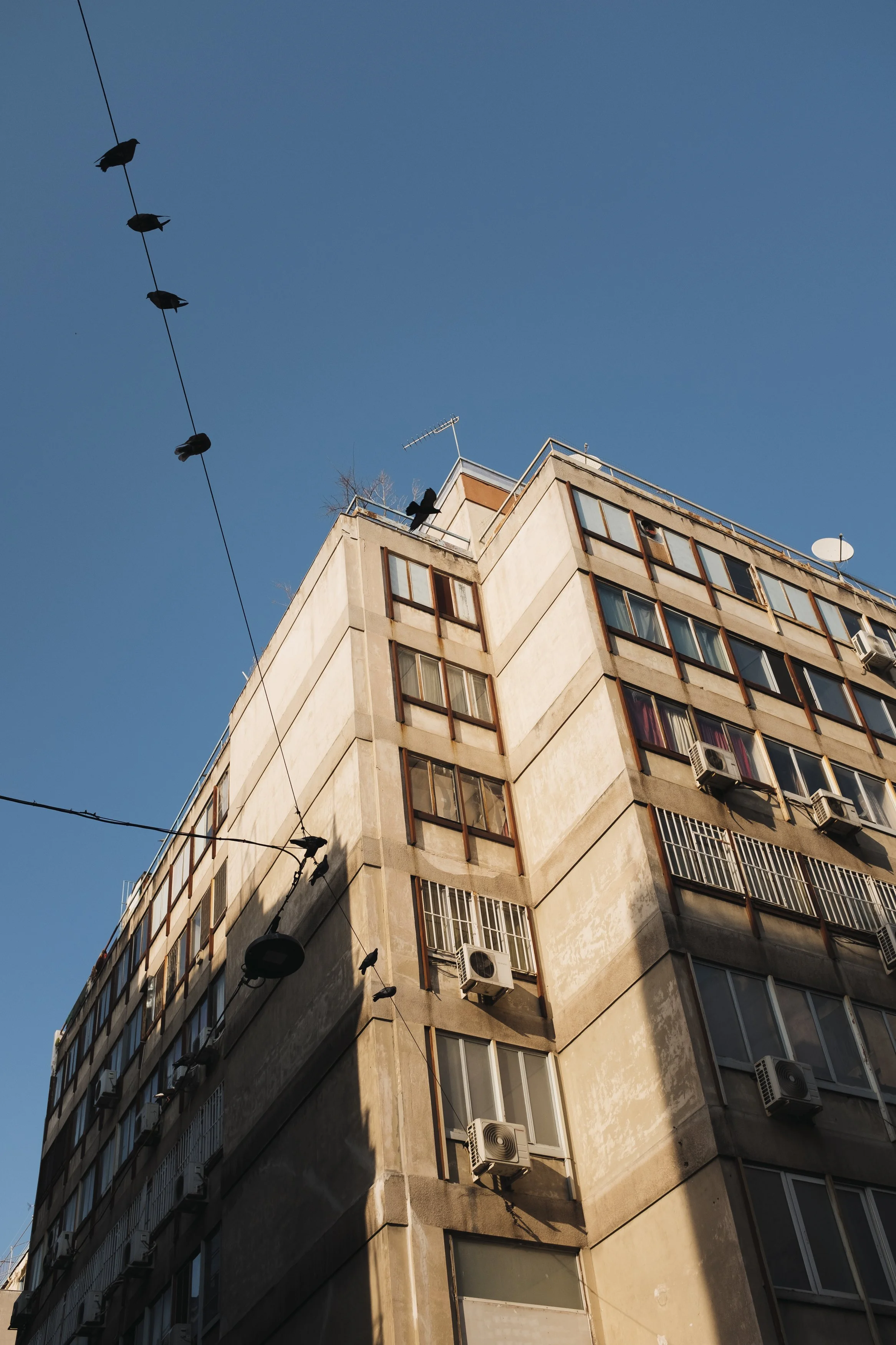 A tall, beige apartment building with multiple windows and air conditioning units, with a clear blue sky in the background. Several birds are perched on power lines that run diagonally across the image.