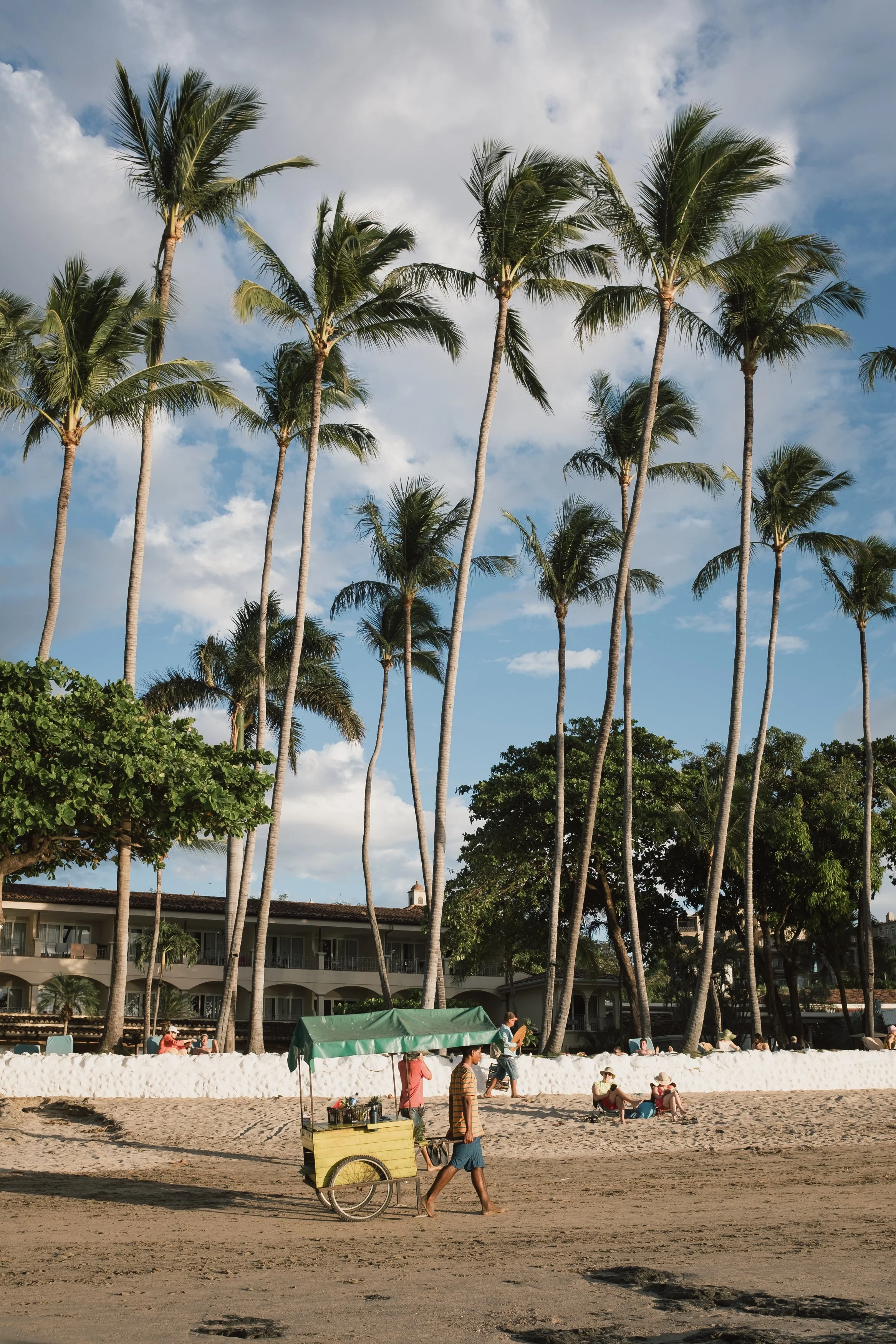 Beach scene with tall palm trees, people lounging and walking, a cart vendor, and a resort building in the background.