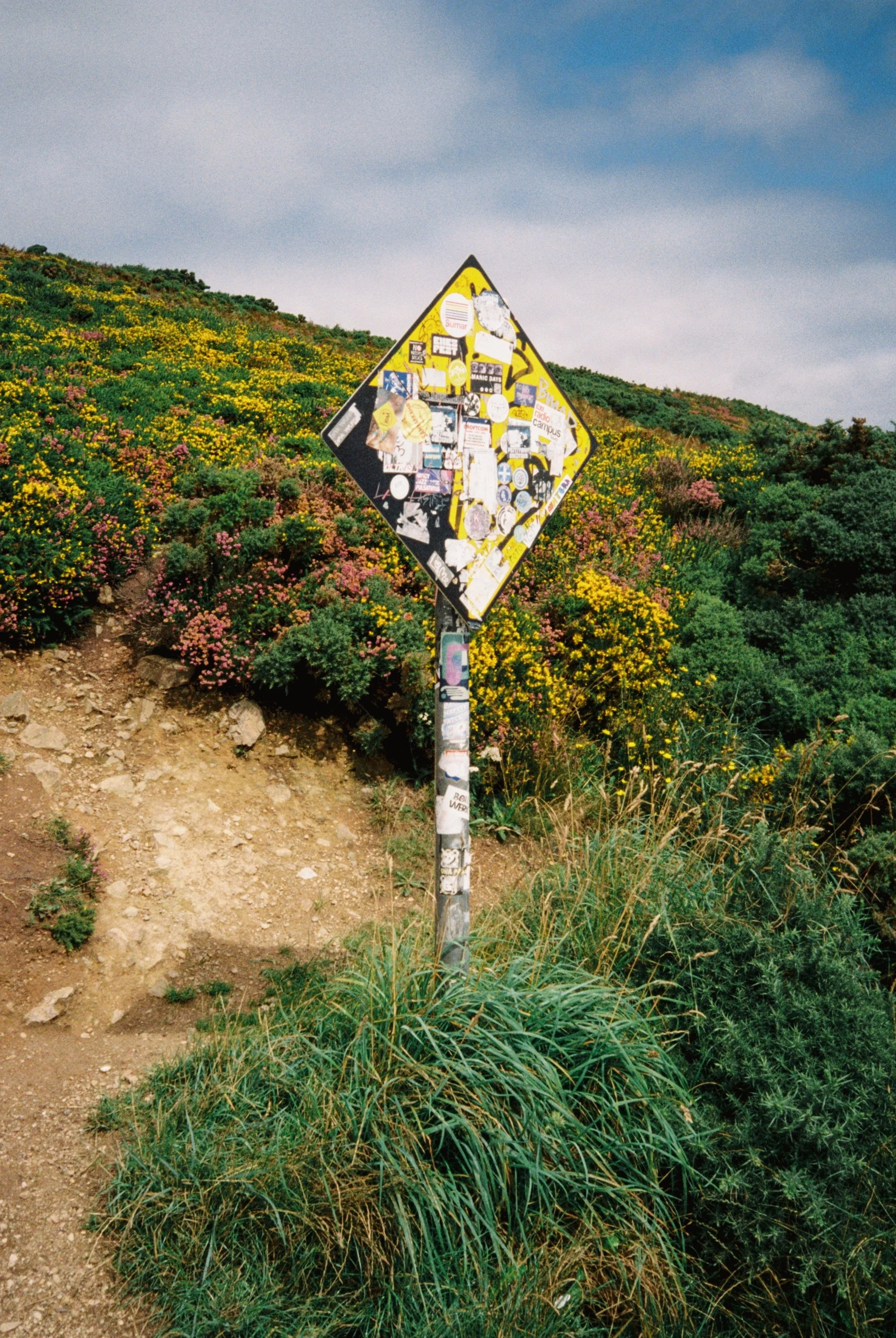 A weathered street sign covered in stickers stands on a grassy hillside with colorful wildflowers under a cloudy sky.