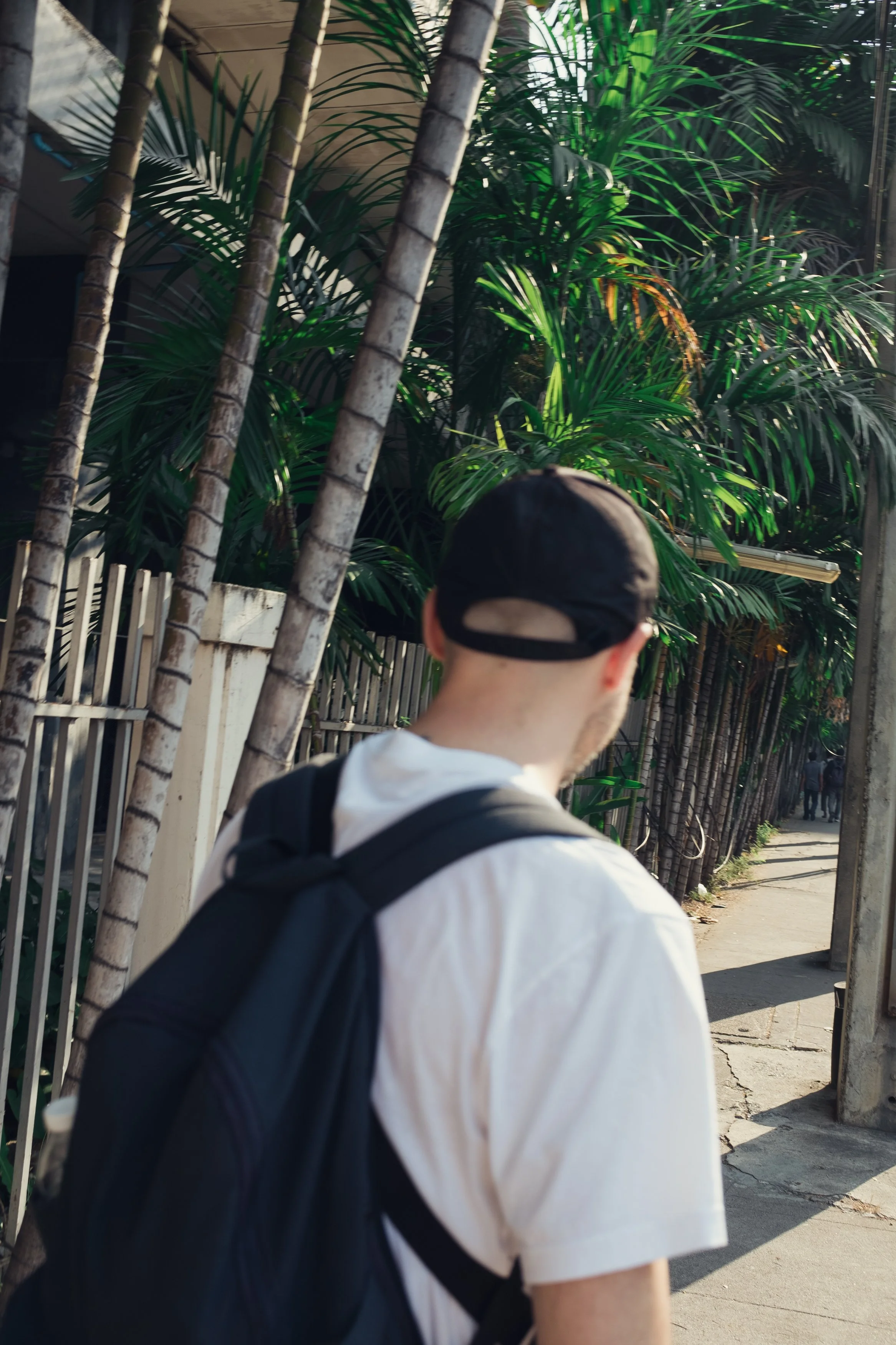 A man with a black backpack and wearing a black cap is walking outdoors next to a fence and leafy green plants, with a sunny sidewalk ahead.