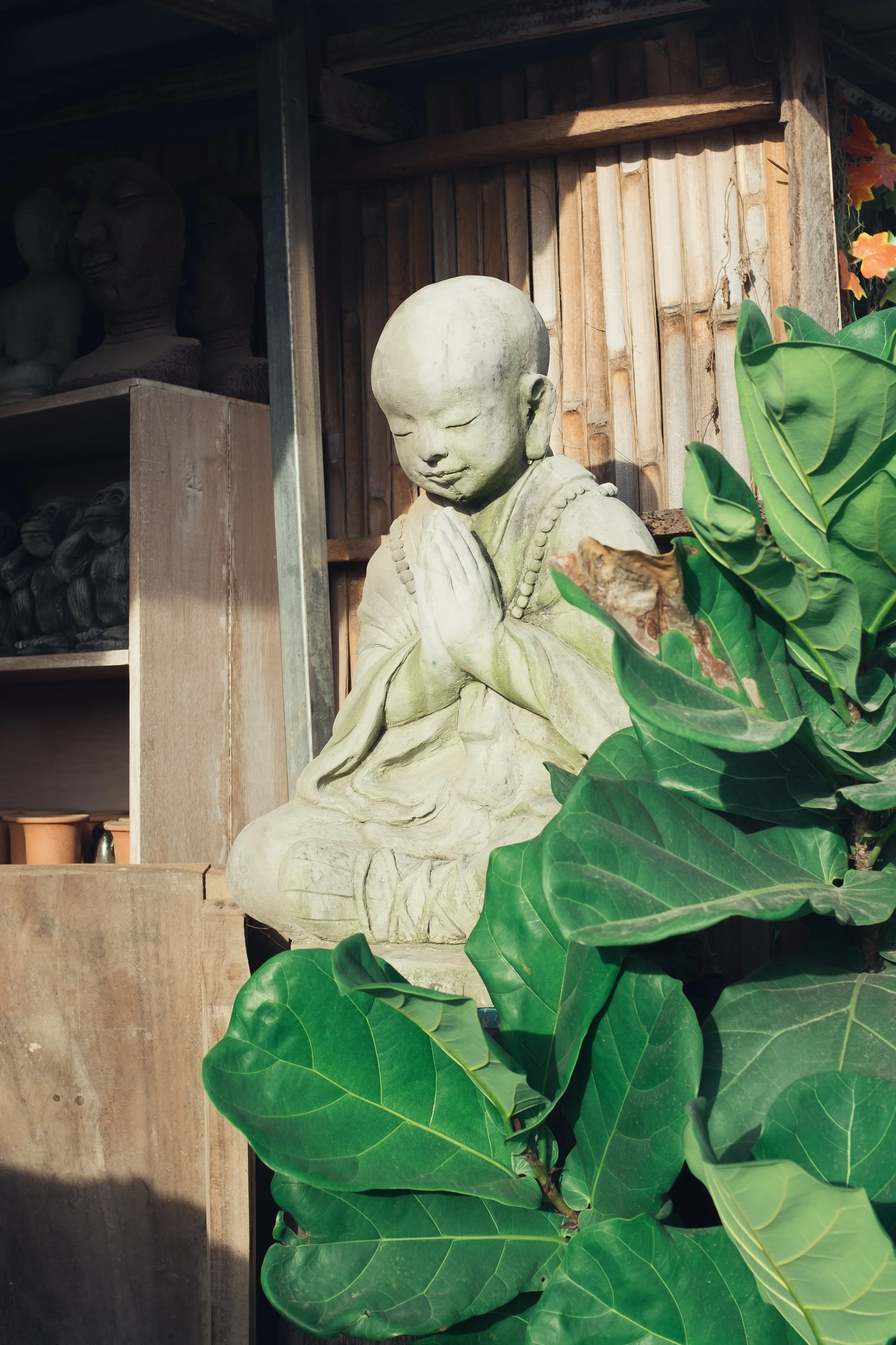A stone sculpture of a young Buddhist monk in a prayer position with hands pressed together and head bowed, surrounded by green leaves and set against a wooden background.