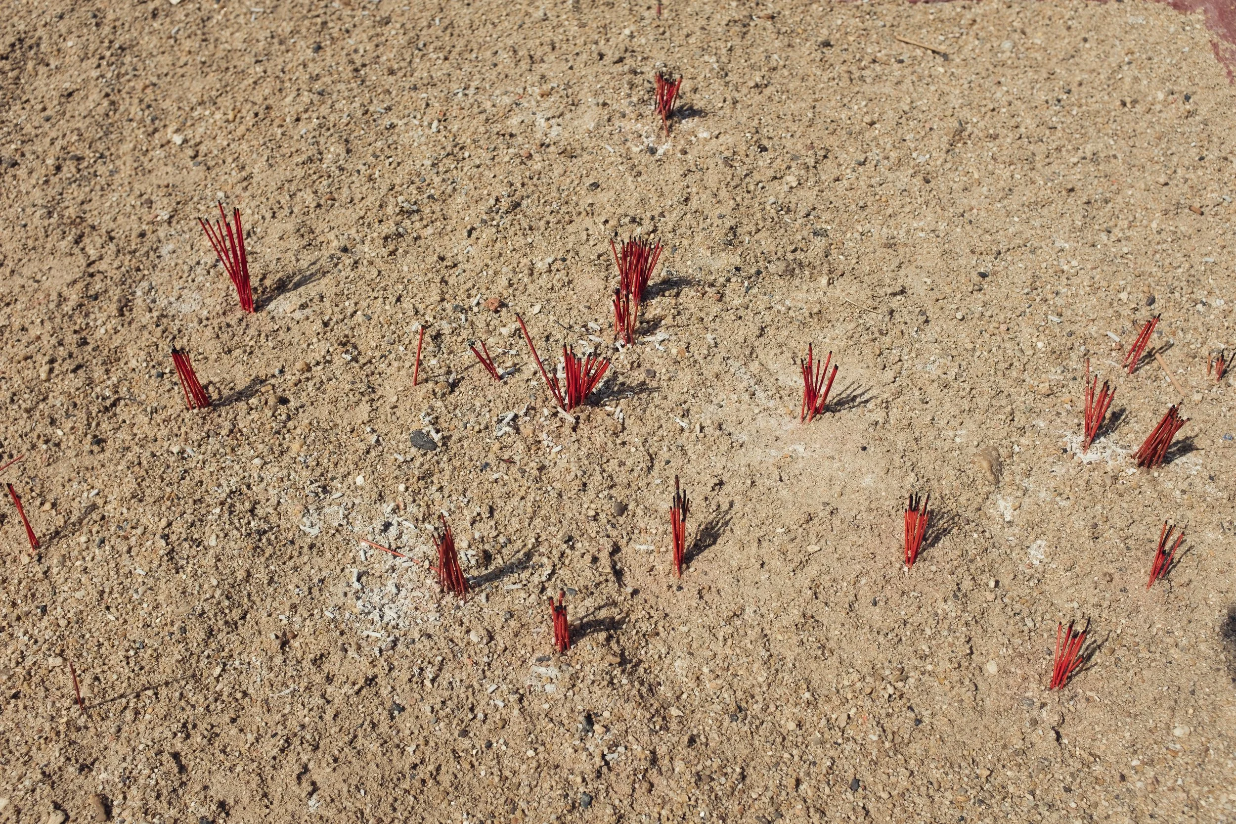 Red stakes or sticks partially buried in the sandy ground, arranged in a scattered pattern.