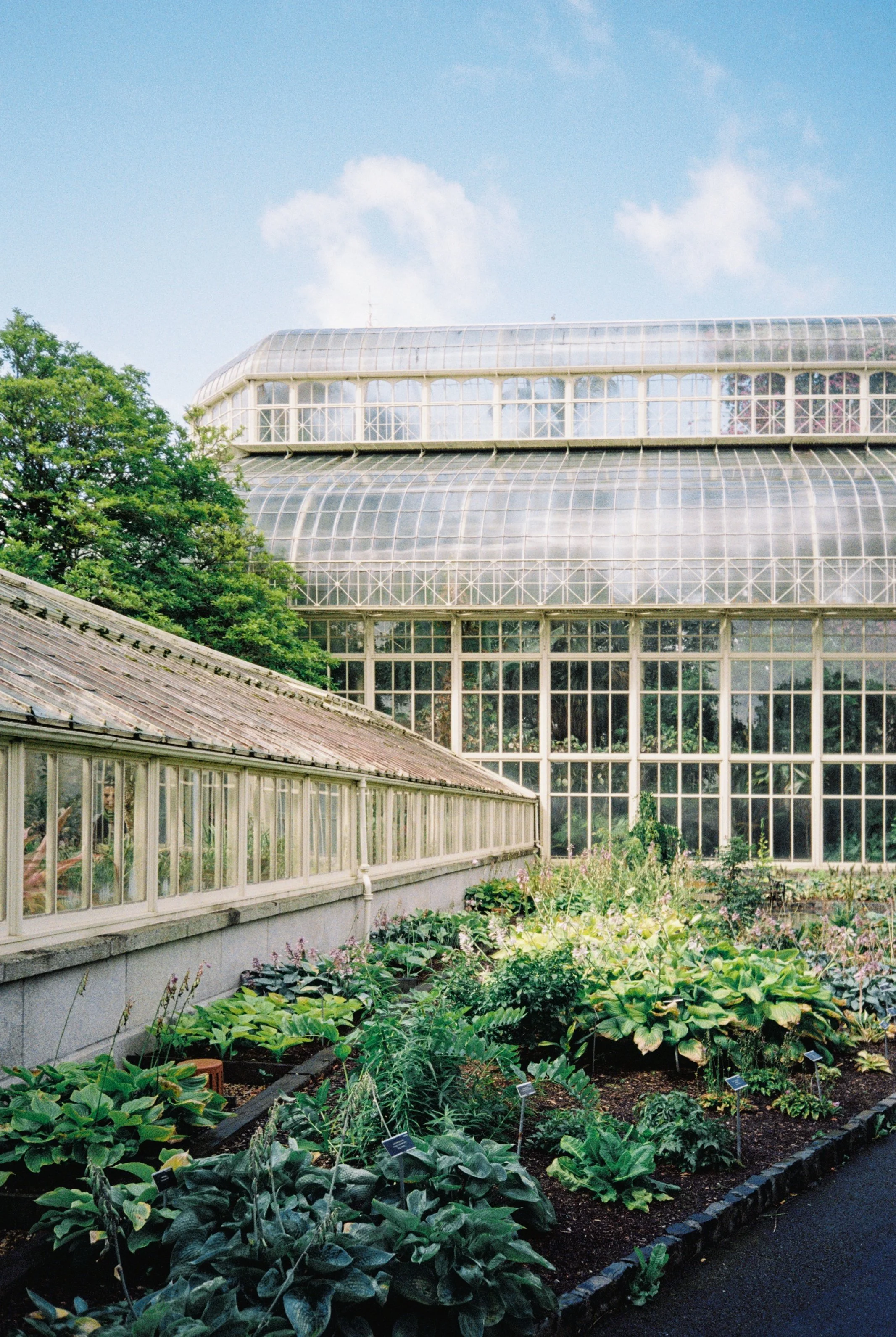 A large greenhouse with a glass and metal structure, filled with plants, under a partly cloudy sky.