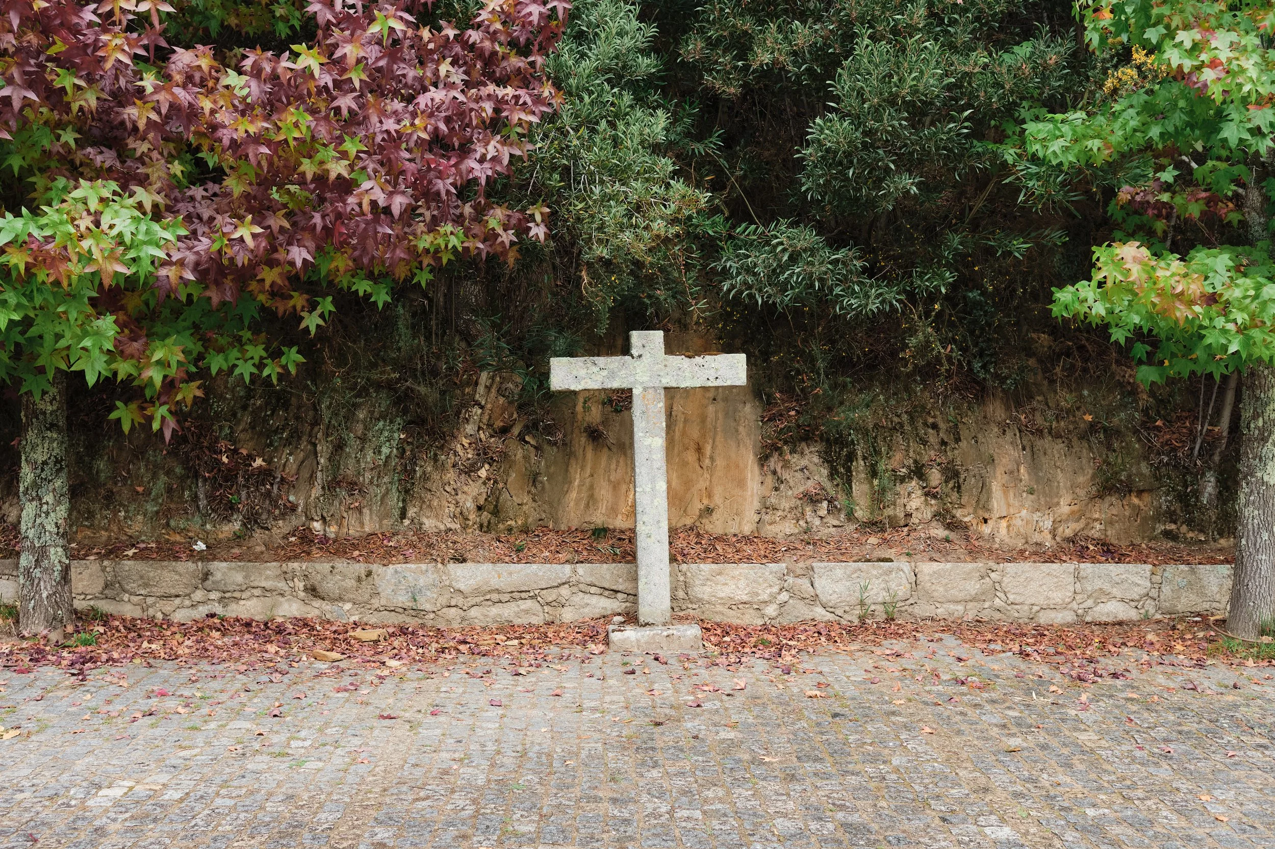 A stone cross monument situated in front of a small stone wall, with a rocky dirt hillside and dense green foliage, including some red and purple leaves, in the background.