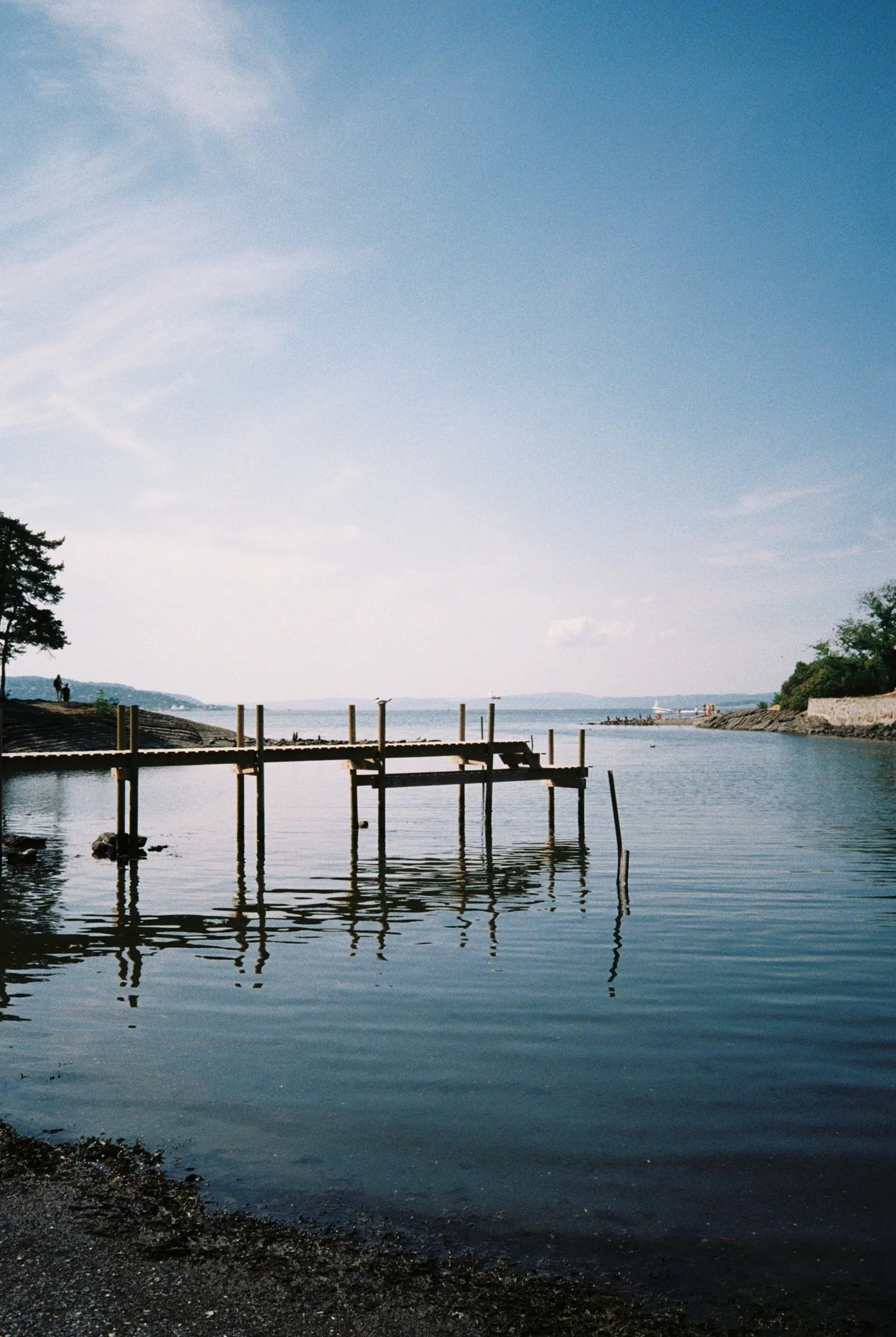 A calm body of water with an old wooden pier extending into the water, surrounded by trees and a distant shoreline under a partly cloudy sky.