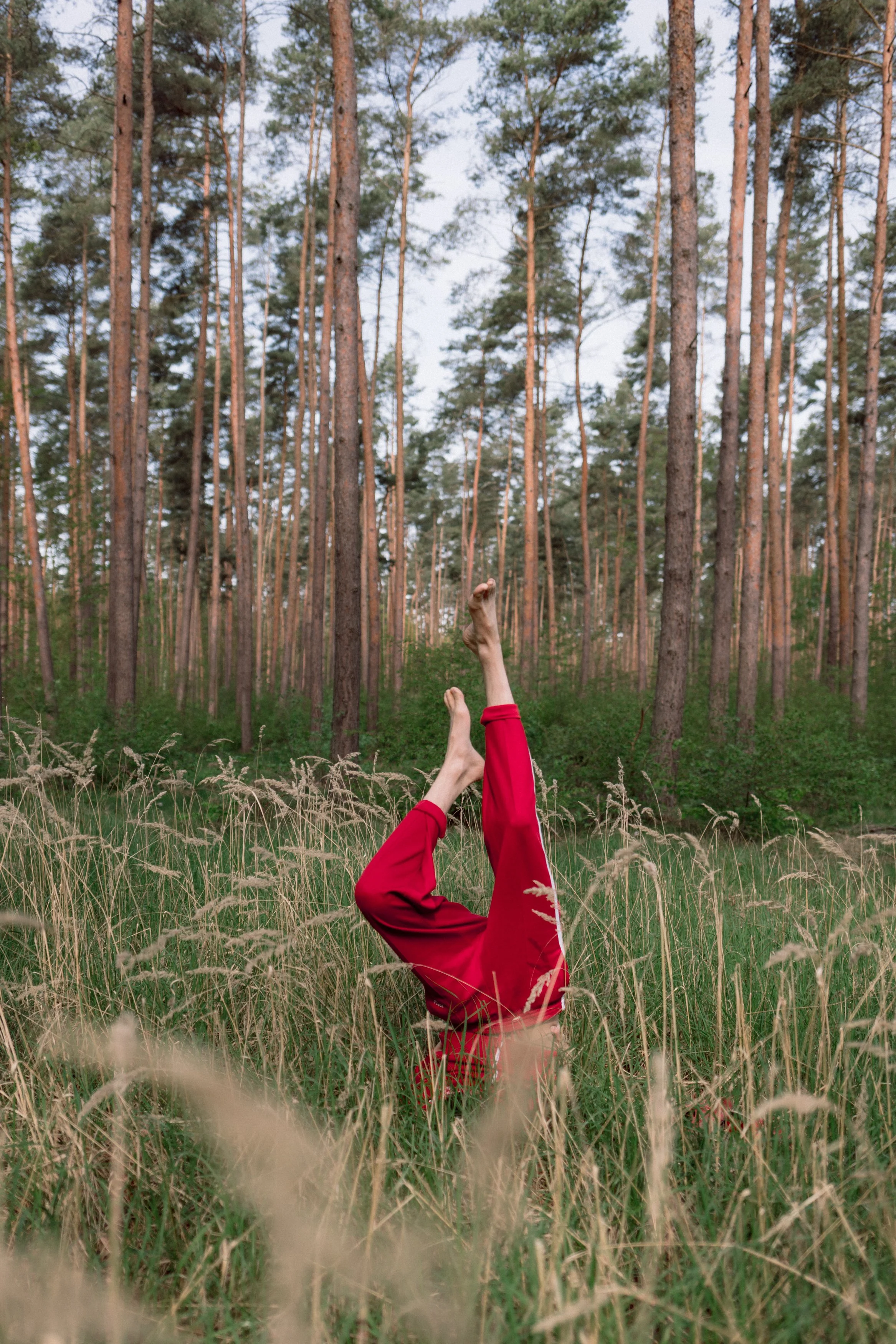 Person in red pants doing a headstand in tall grass in a forest.