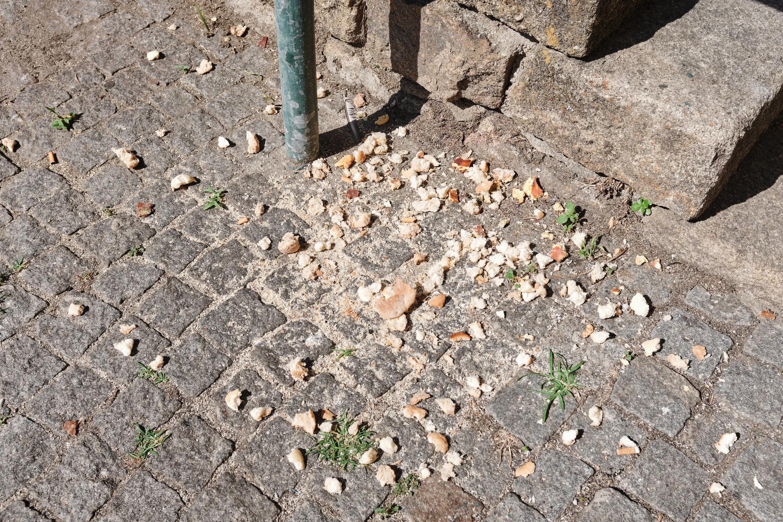 Broken pieces of bread or food scattered on a cobblestone sidewalk near a metal pole and stone steps with small green plants growing between the stones.
