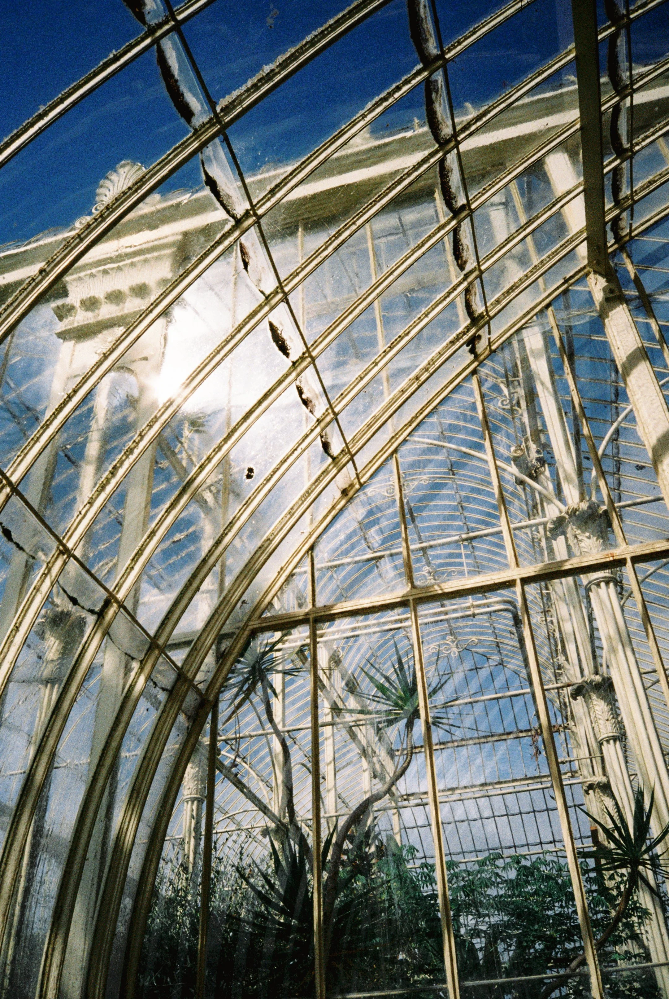 Inside a glass greenhouse with curved metal framing, sunlight streaming through, with plants visible below.