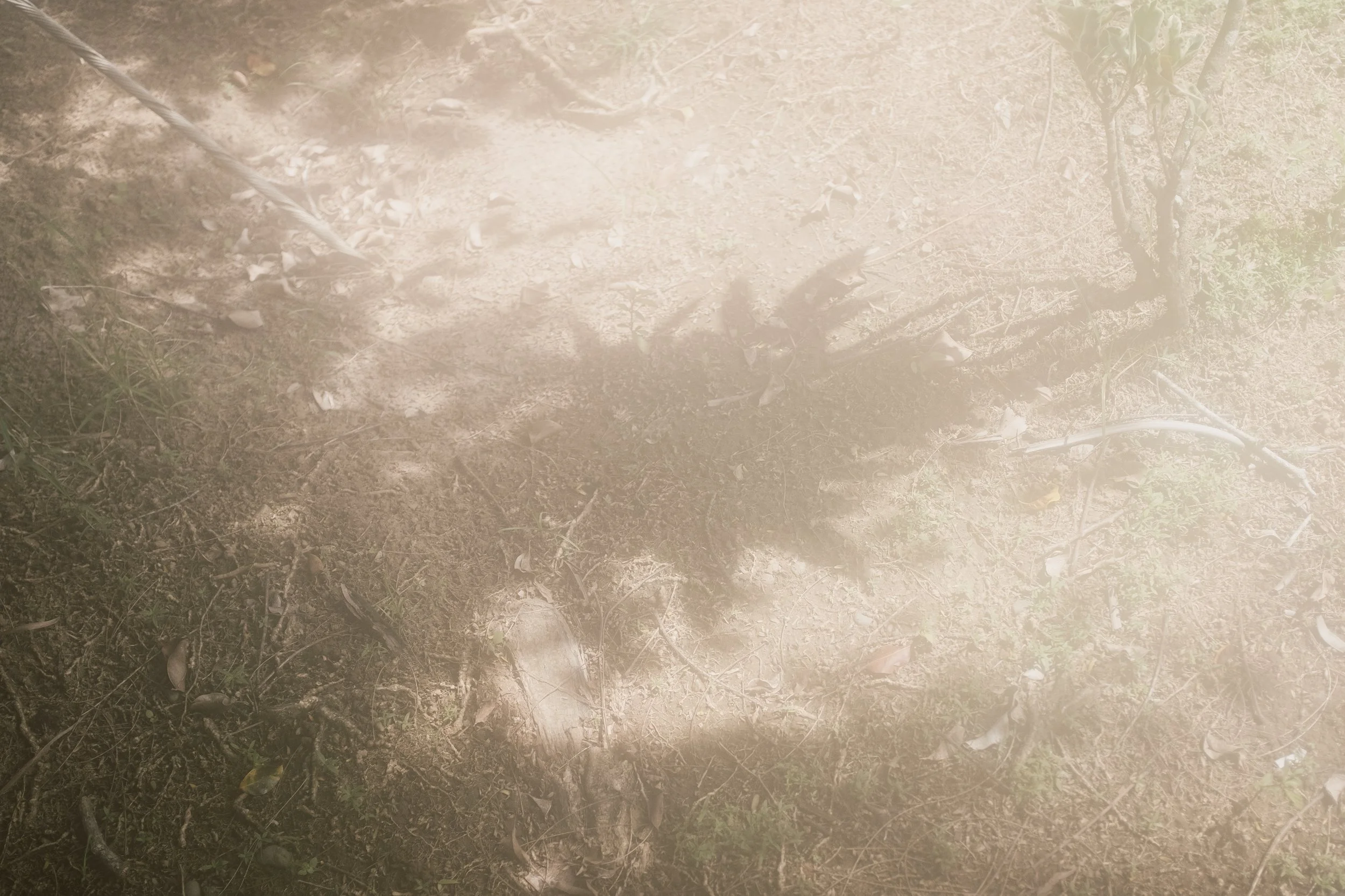Shadows of four children playing on the ground, with their shadows cast on the dirt and grass.