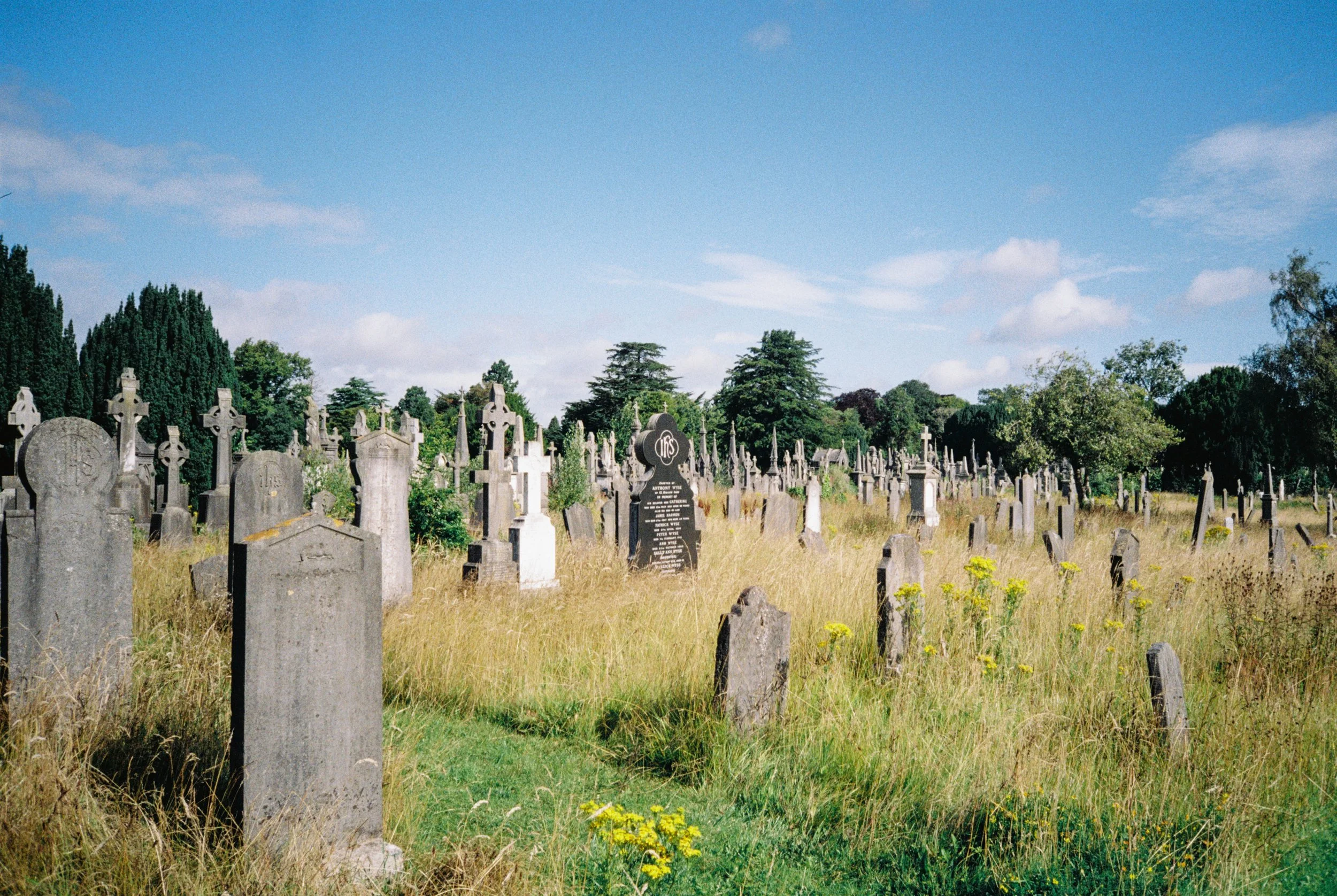 A view of a graveyard with many old tombstones, some with crosses, surrounded by tall grass and trees under a blue sky with clouds.