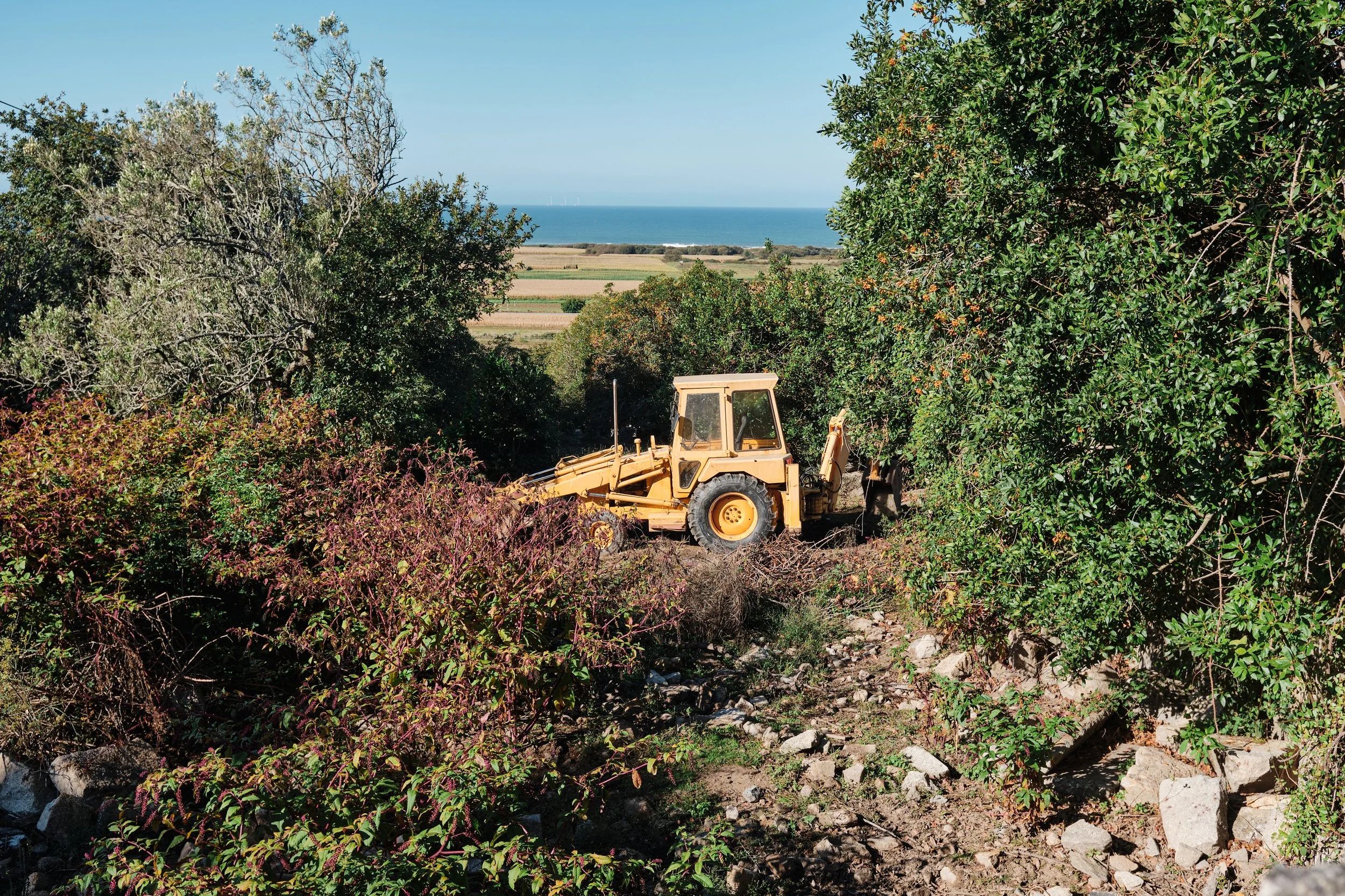 A yellow backhoe loader is clearing brush near a rocky area with trees and bushes, with farmland and the ocean in the background under a clear blue sky.