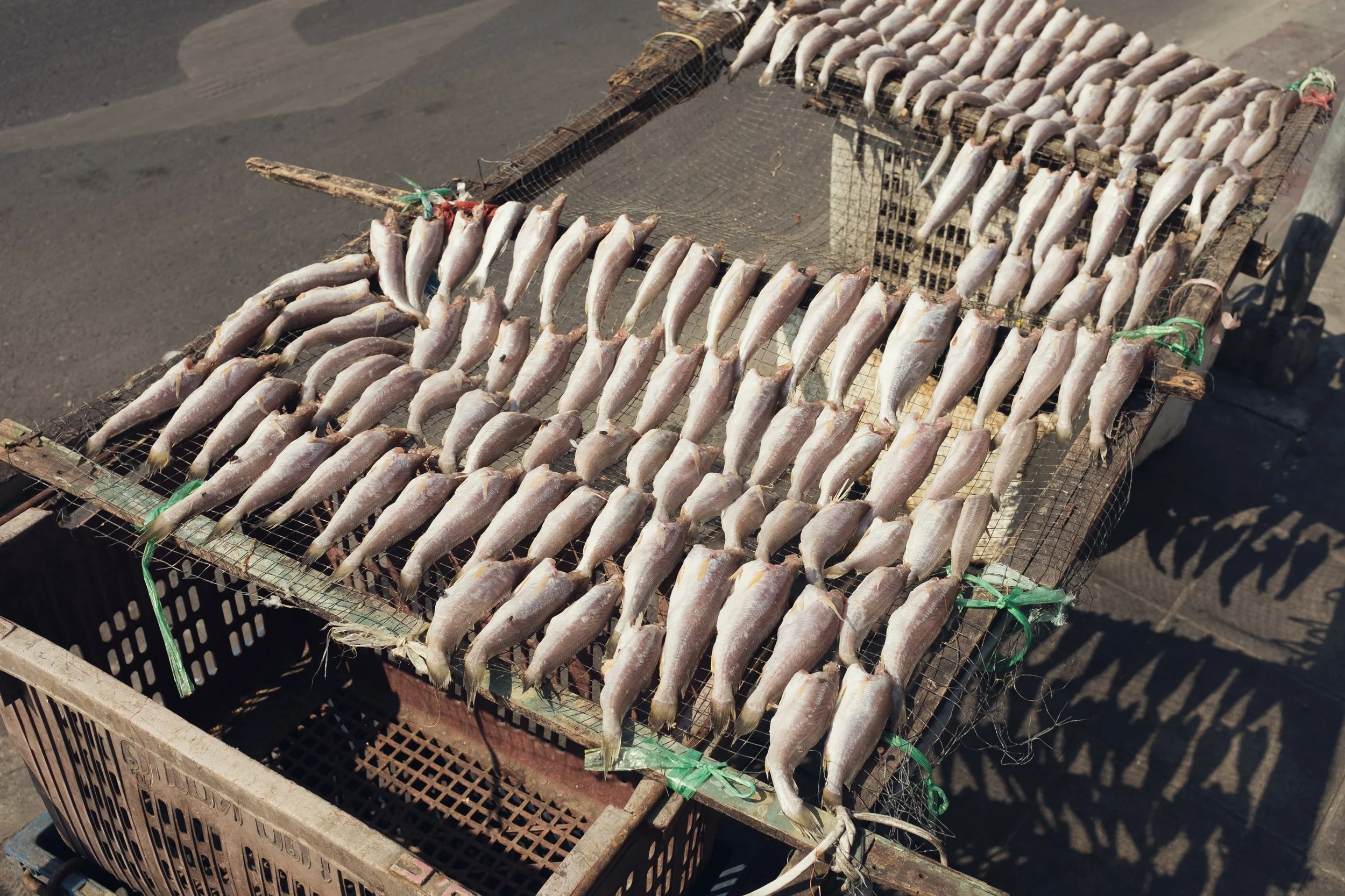 Multiple fish are laid out on mesh drying racks outdoors, likely for drying or smoking.