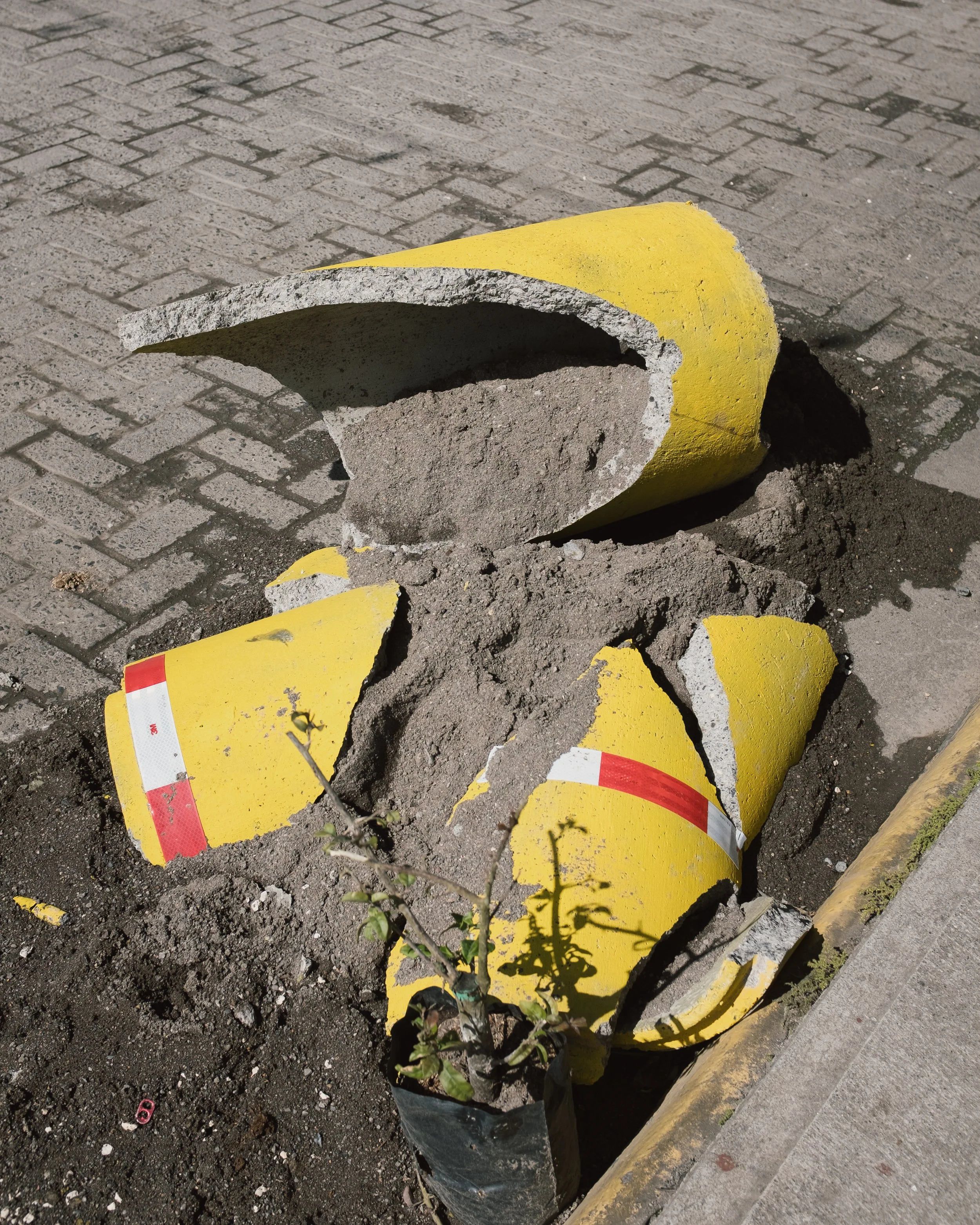 Broken yellow and black traffic barrier fallen onto the sidewalk with a small potted plant nearby.