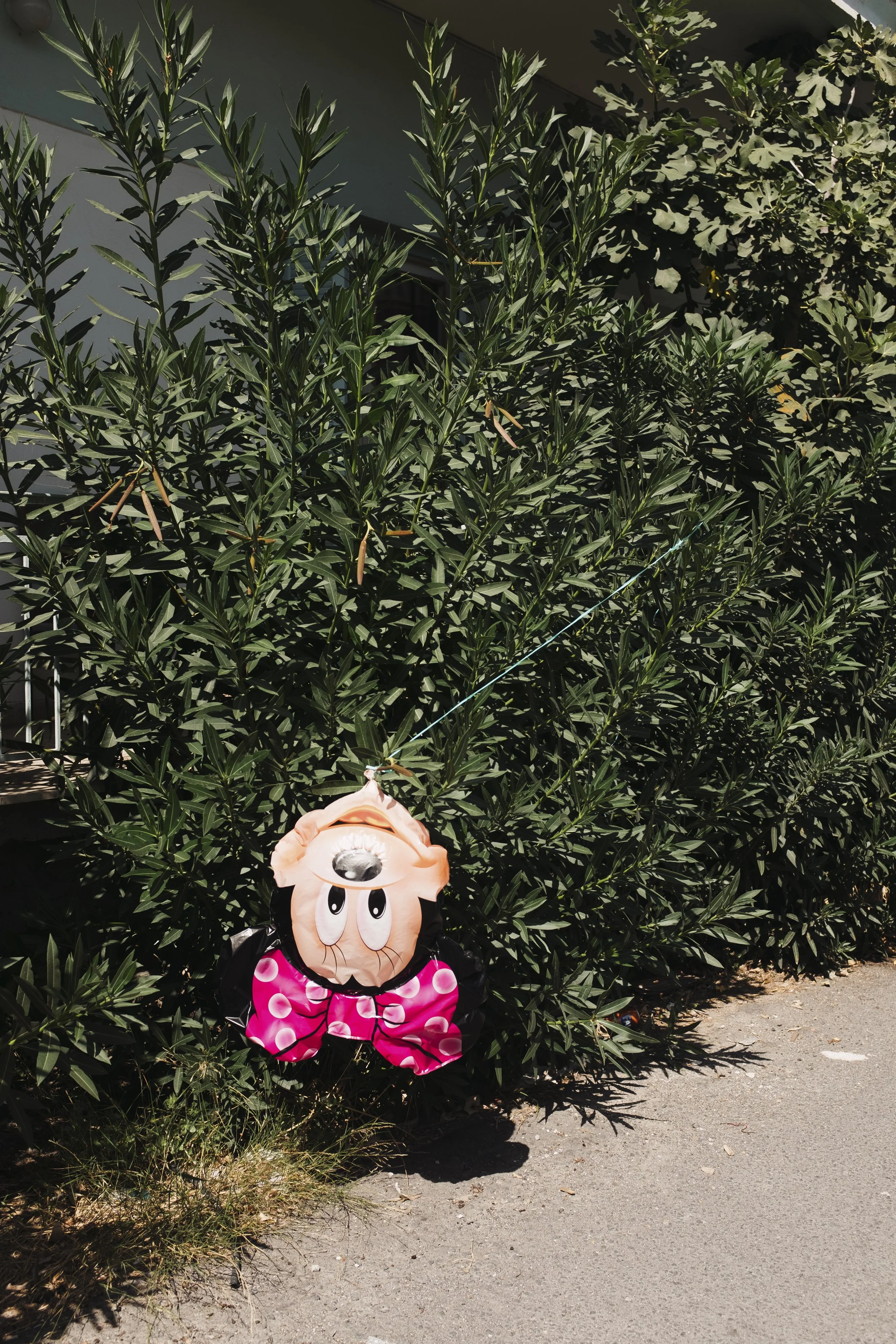 A Minnie Mouse-themed inflatable decoration planted in the ground next to green bushes, with a string attached to the top for hanging or tie-down.