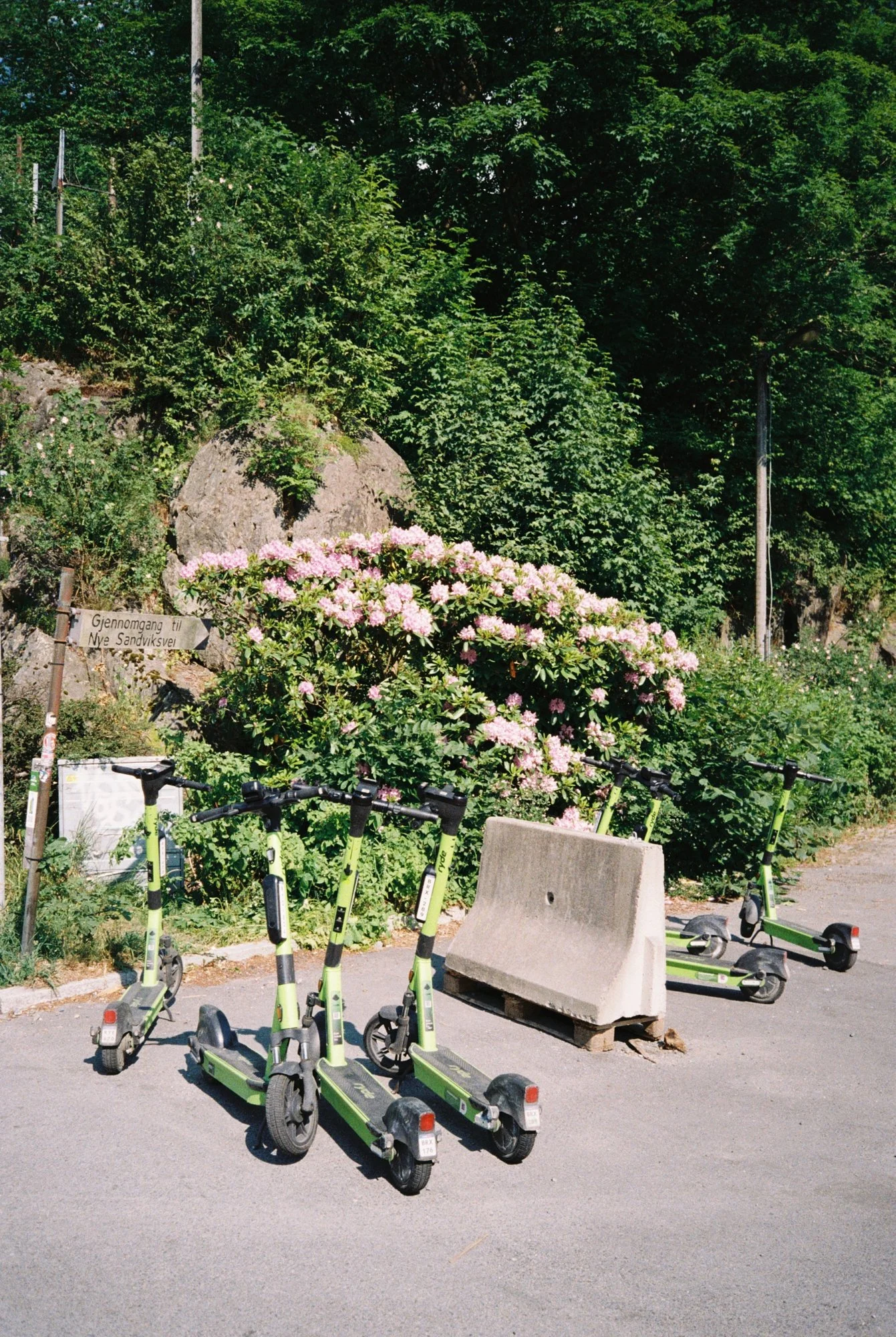Four green and black electric scooters parked on the sidewalk near a concrete bench. Behind them, there is a bush with pink flowers and dense green trees. A signpost points to the left that reads, 'Gjennomgang til Nye Sandviksv vei'.