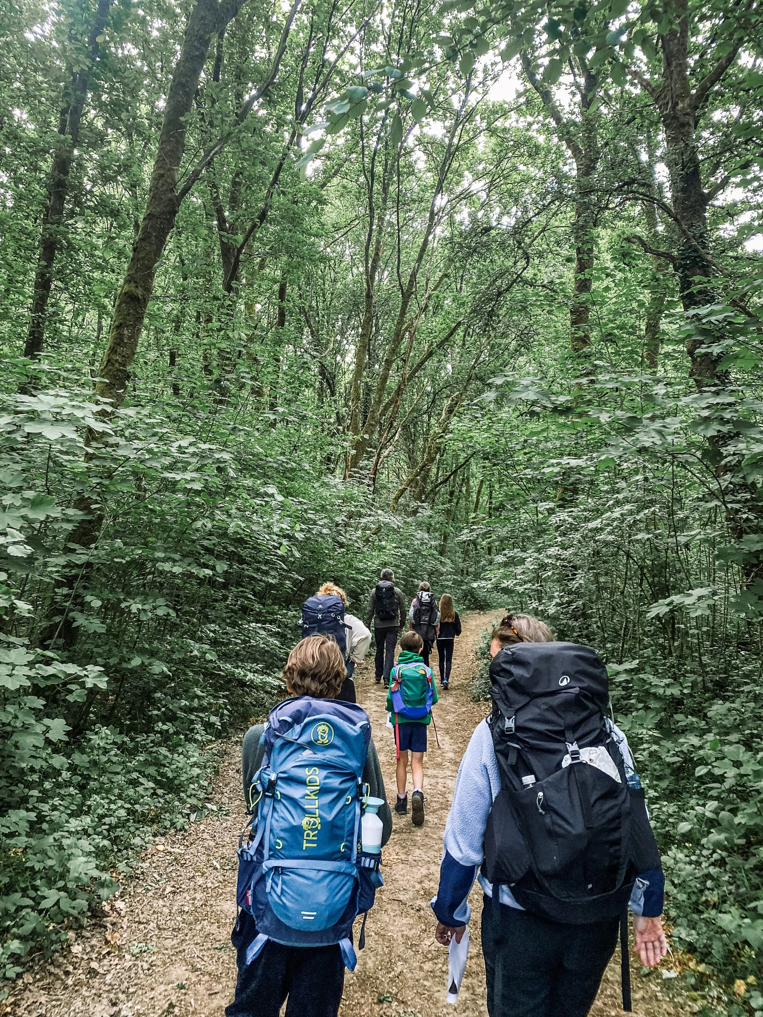 huttentocht in belgie hike heroes.jpeg