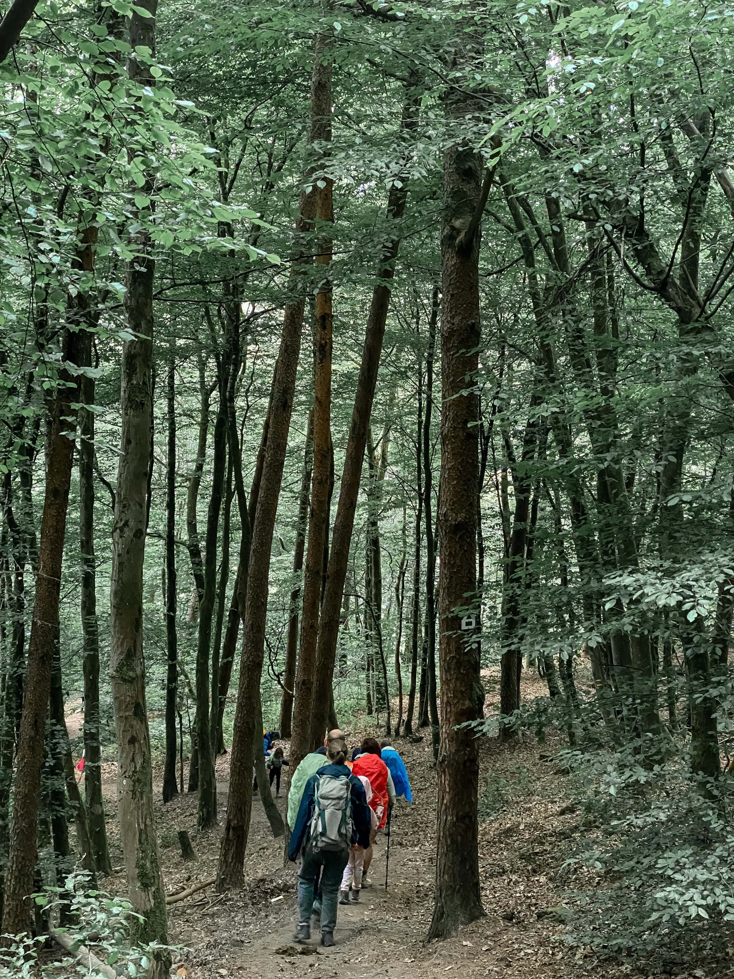 huttentocht in belgie avontuurlijk wandelweekend.jpeg