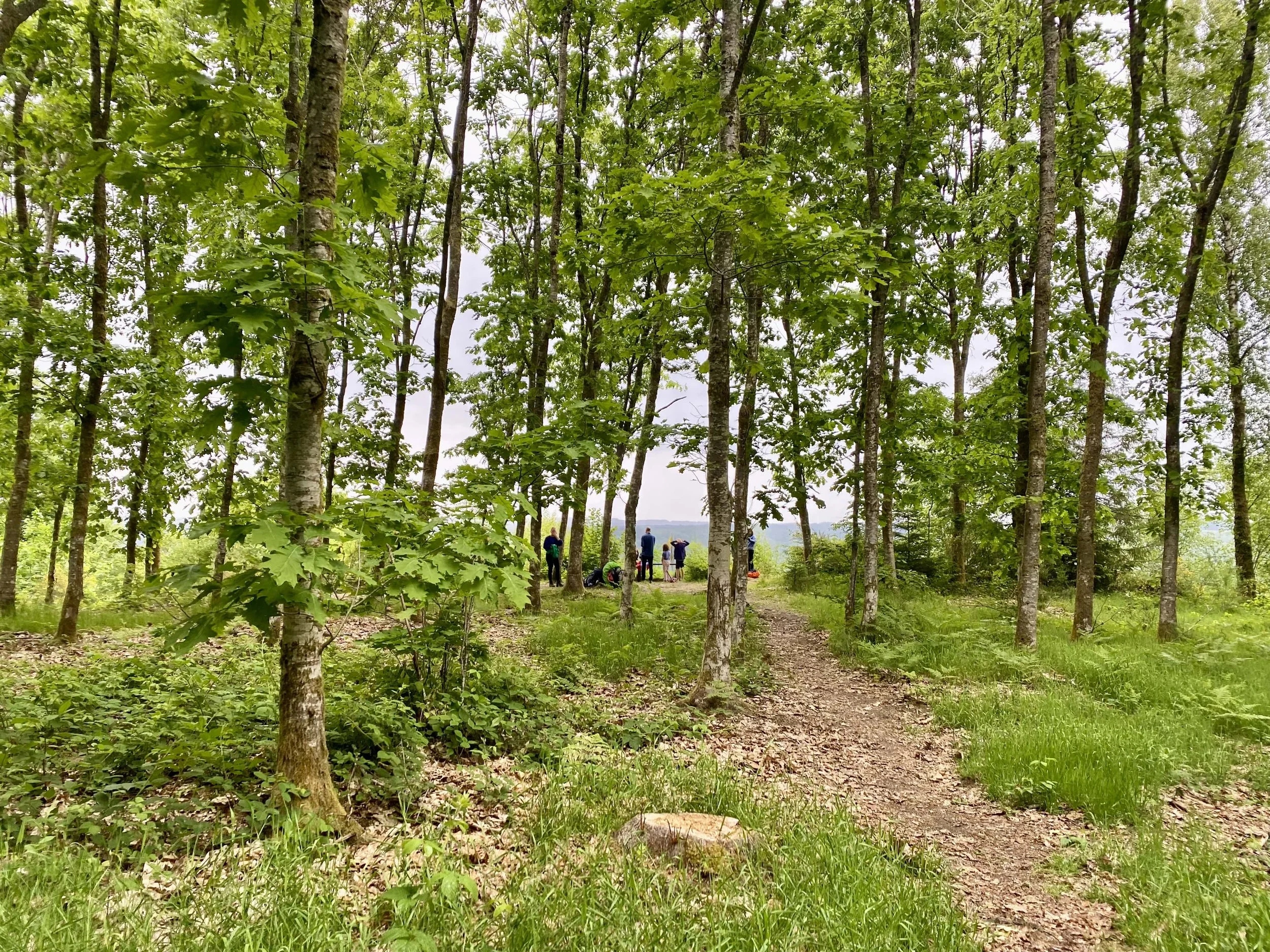 huttentocht in belgie les 8 semois.jpeg