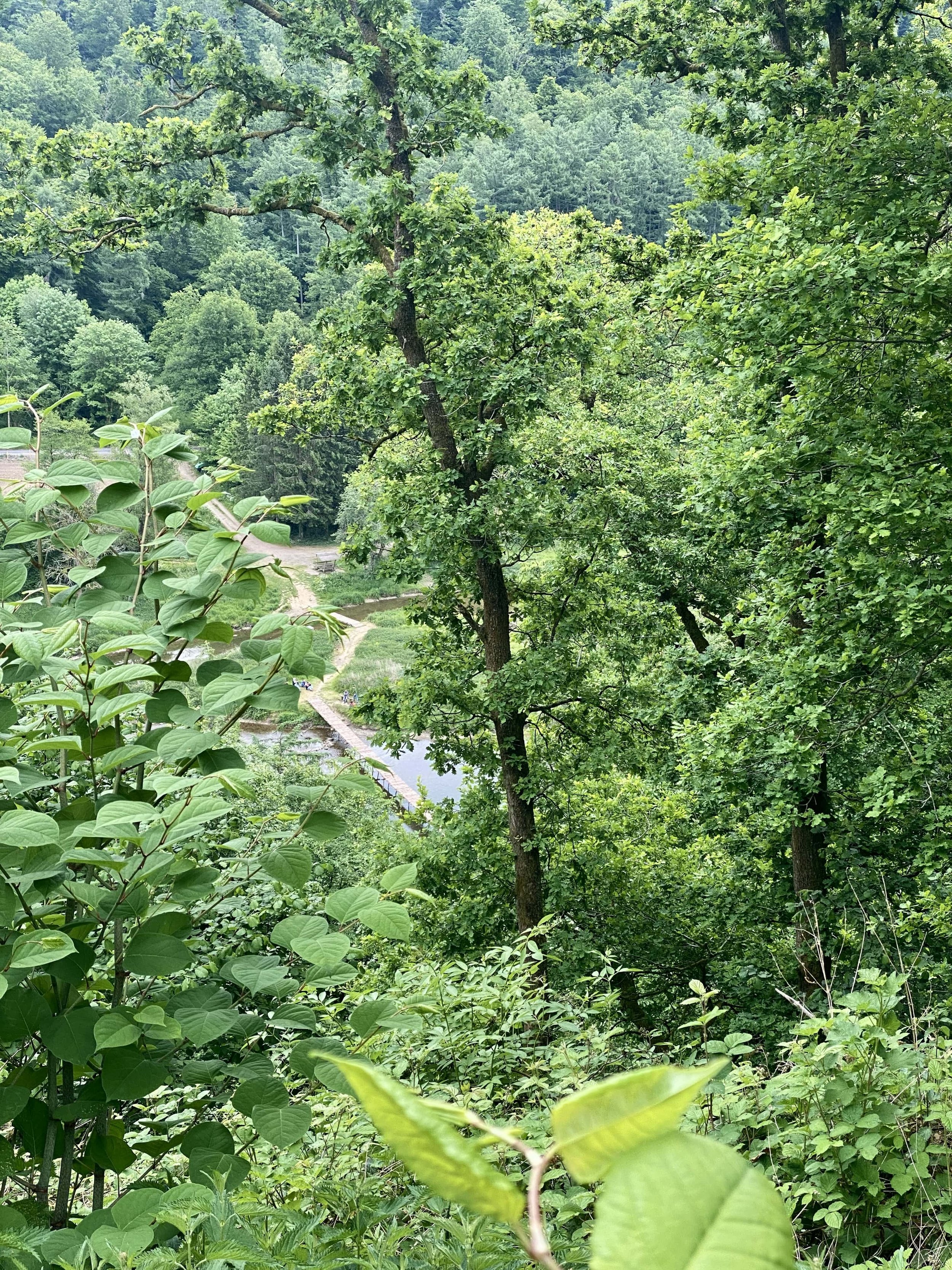 pont des claies.jpeg