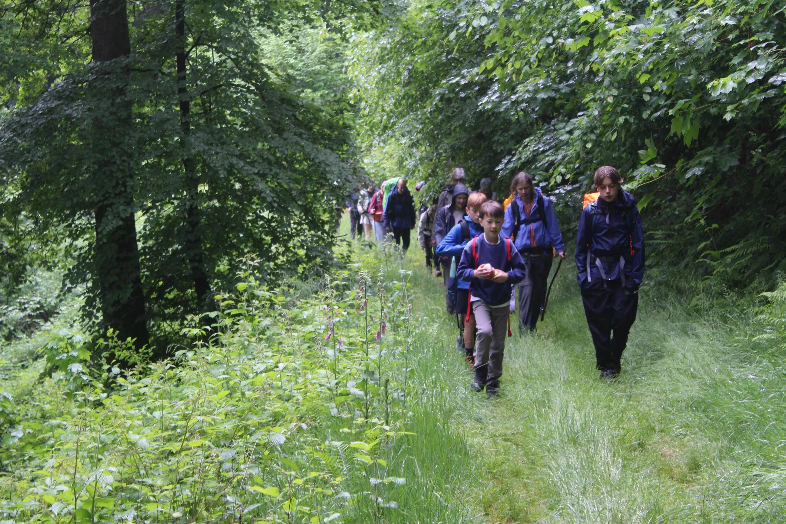 huttentocht in belgie wandelen.jpeg