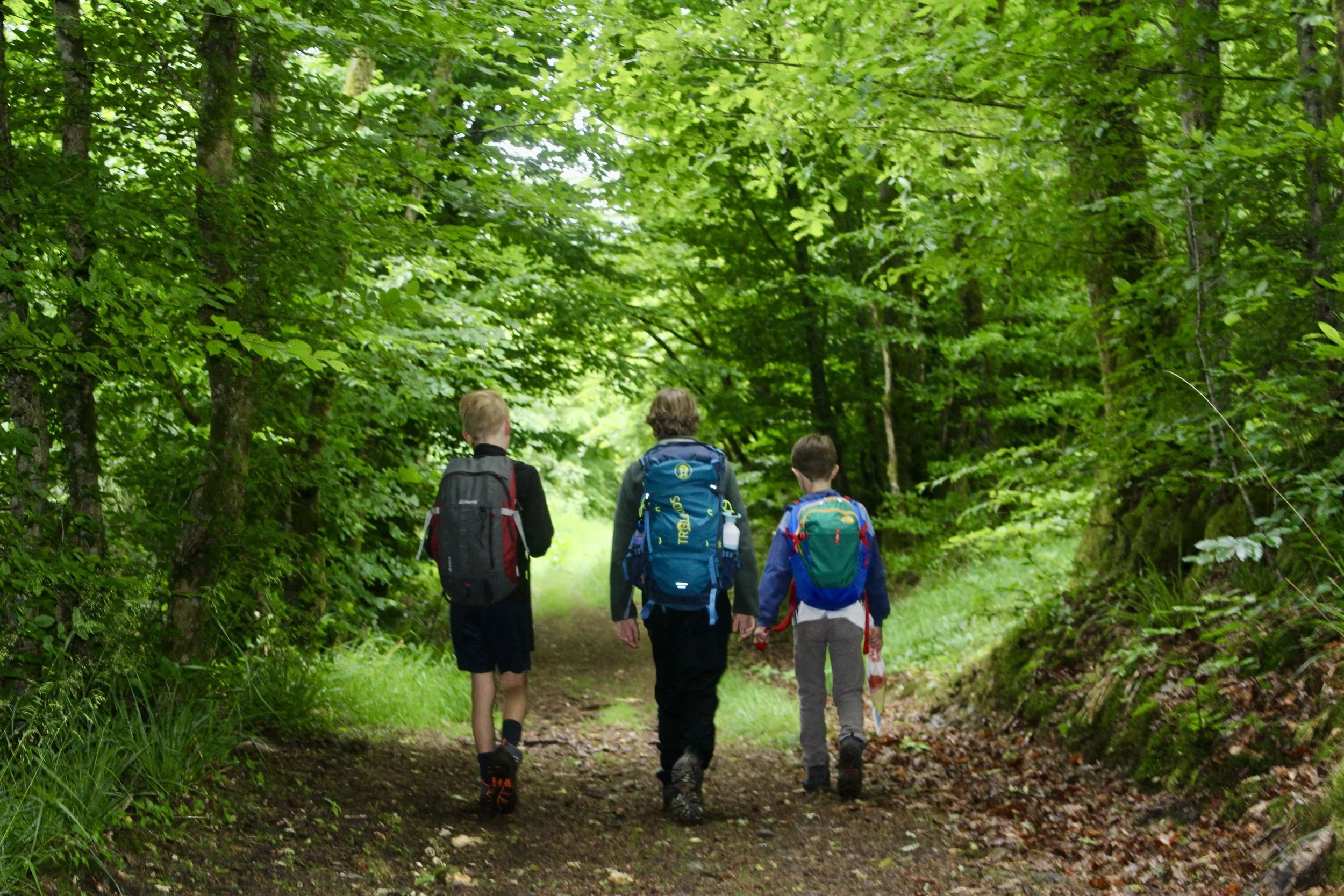 huttentocht in belgie wandelweekend.jpeg