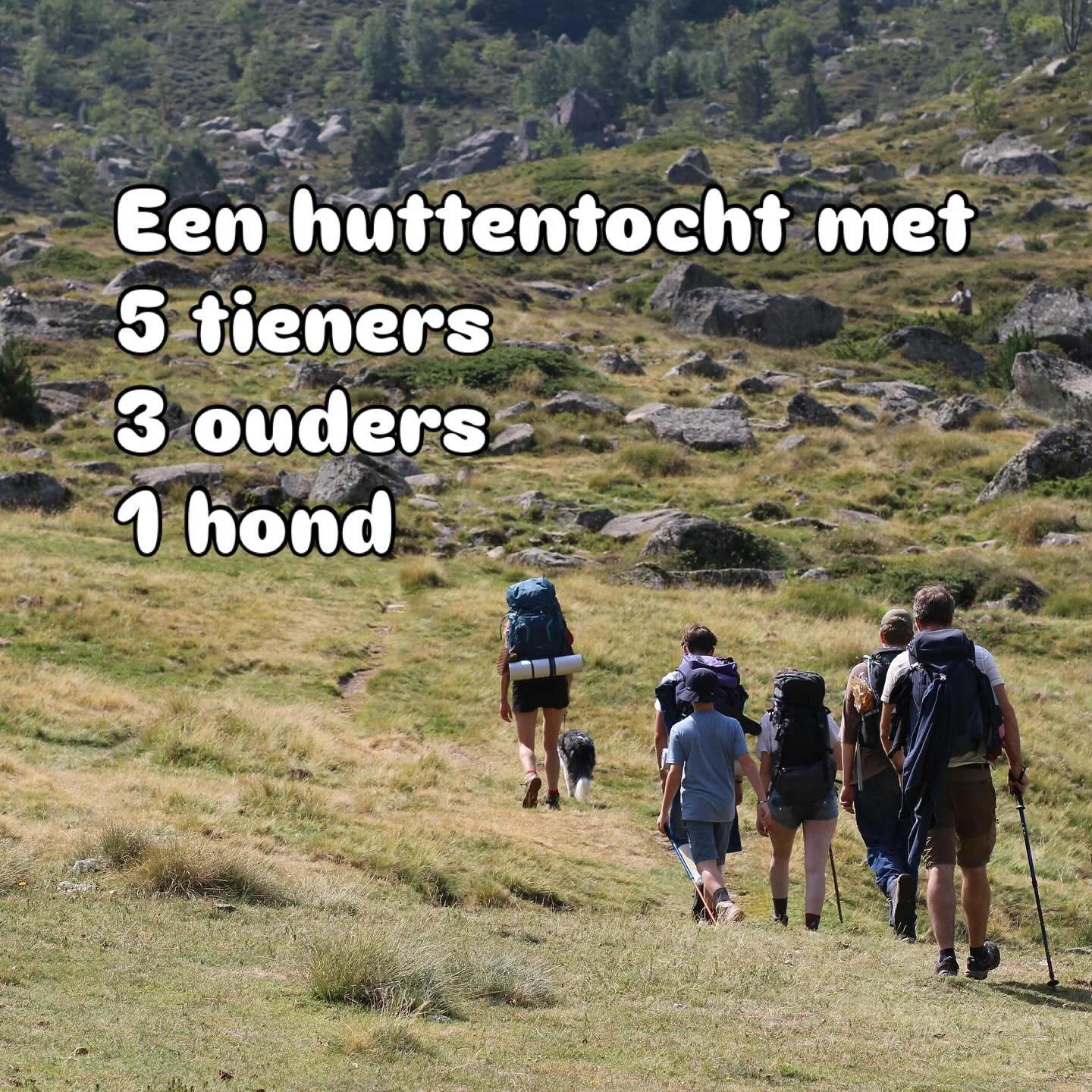 Nieuwe huttentocht inspiratie op de blog van Hike Heroes 🎉 
Lezen en bewaren, zeker voor zij die op zoek zijn naar een korte eenvoudige huttentocht om eens te voelen of het iets voor hen zou kunnen zijn.
Link in bio of ga naar www.hikeheroes.be 💚
