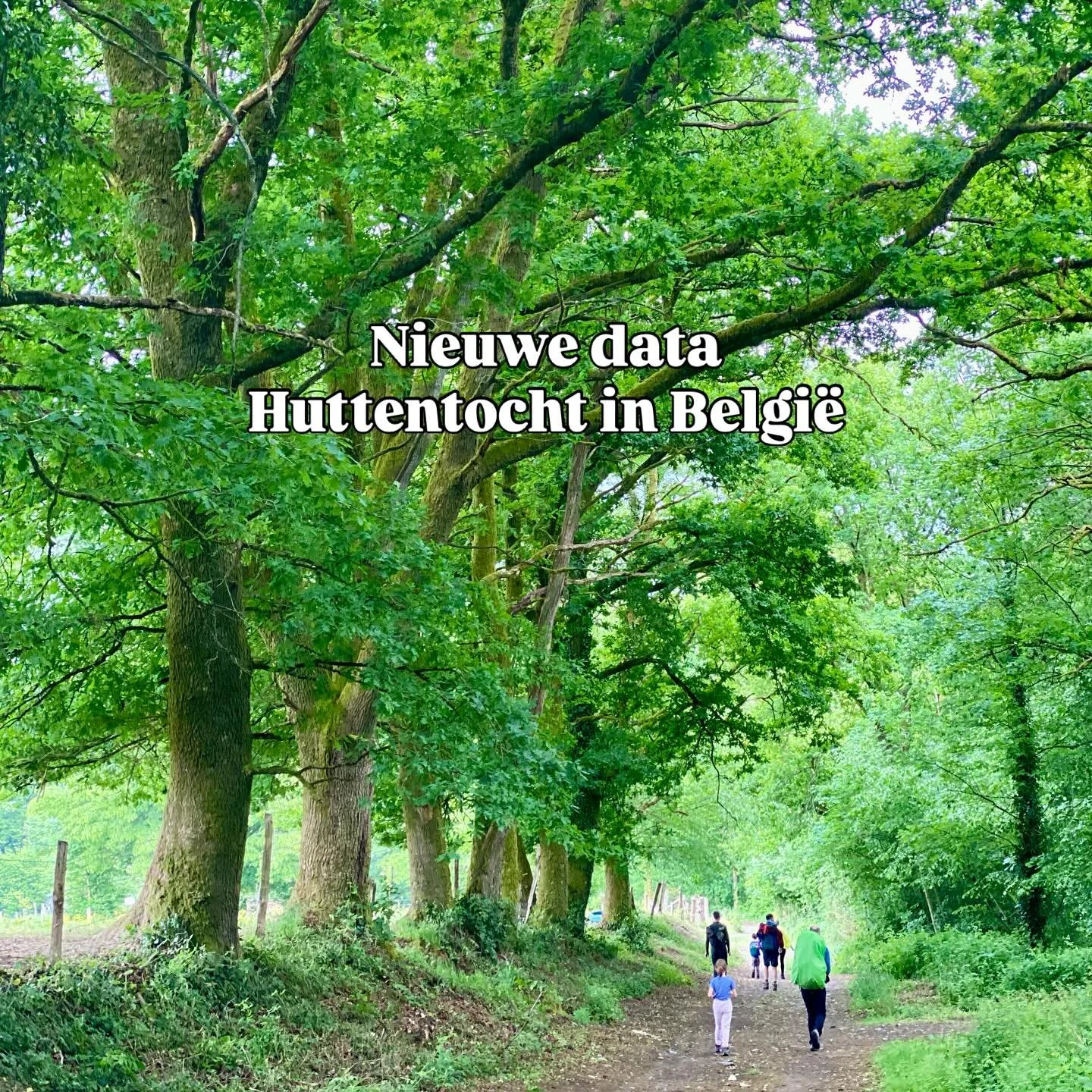 Huttentocht in België 2026 🙌
Dit jaar was de Huttentocht in België, een avontuurlijk wandelweekend voor ouders en kinderen, zo leuk dat we dat volgend jaar gewoon nog eens doen!
Sterker nog, we doen dat twee keer!! Noteer:
🥾25 & 26