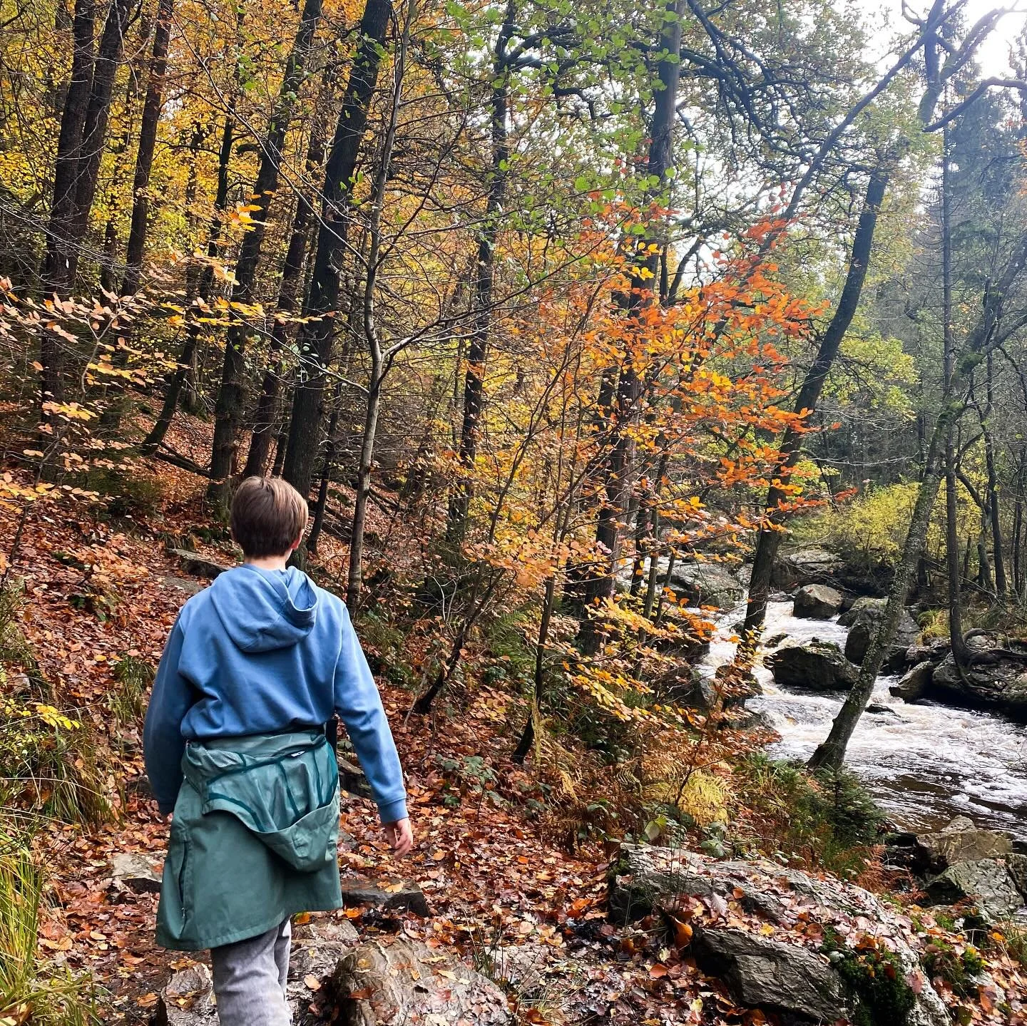 &ldquo;Mama, en waarom moeten we dit doen? Niemand van de kinderen vindt dit leuk h&eacute;&rdquo;, gooit tienerzoon er tijdens het wandelen plots uit. 

Wel, het is een toffe wandeling en de buitenlucht en wat beweging zijn goed voor je. All&eacute;