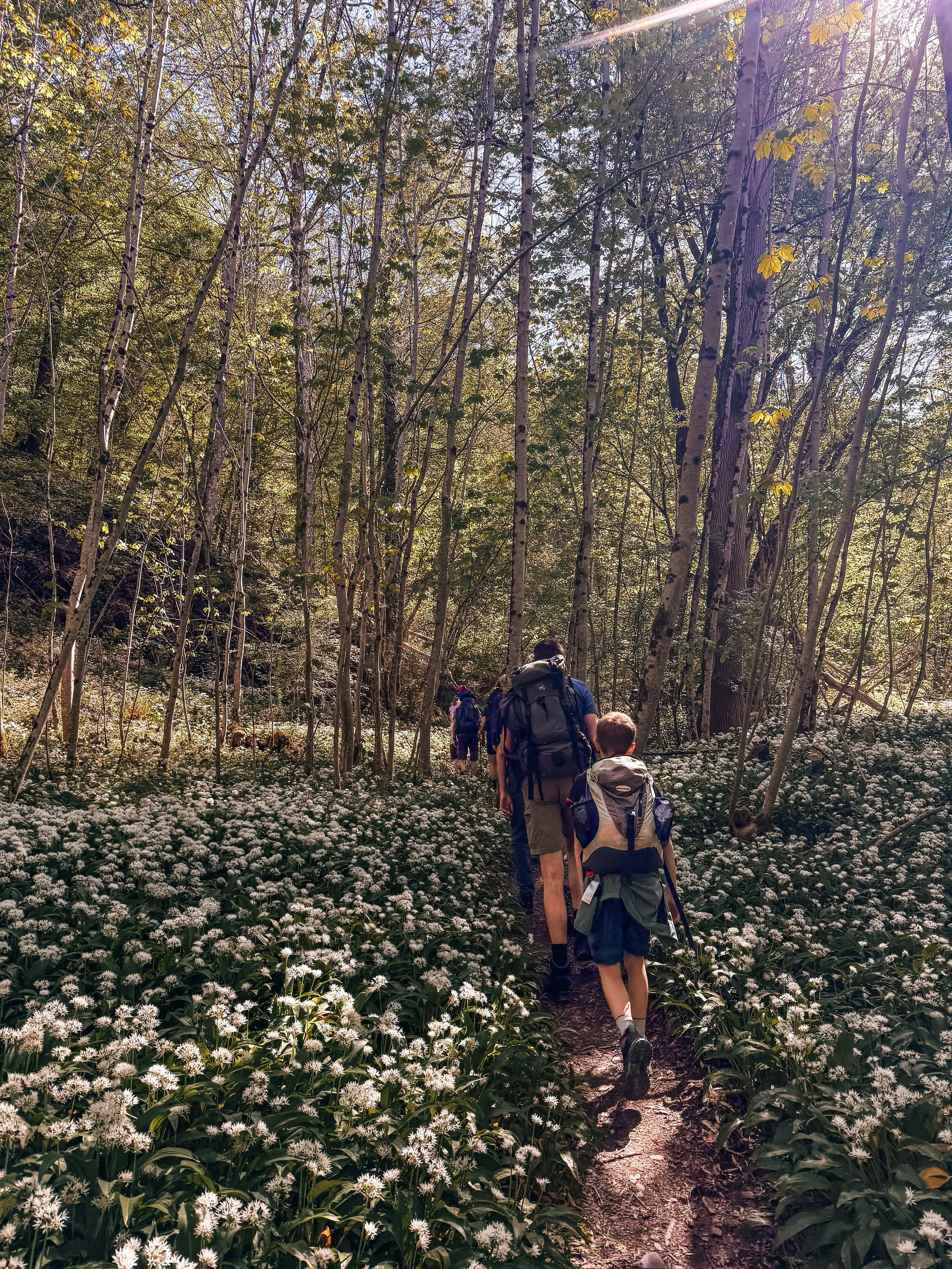 hike heroes waneling daslook.jpg