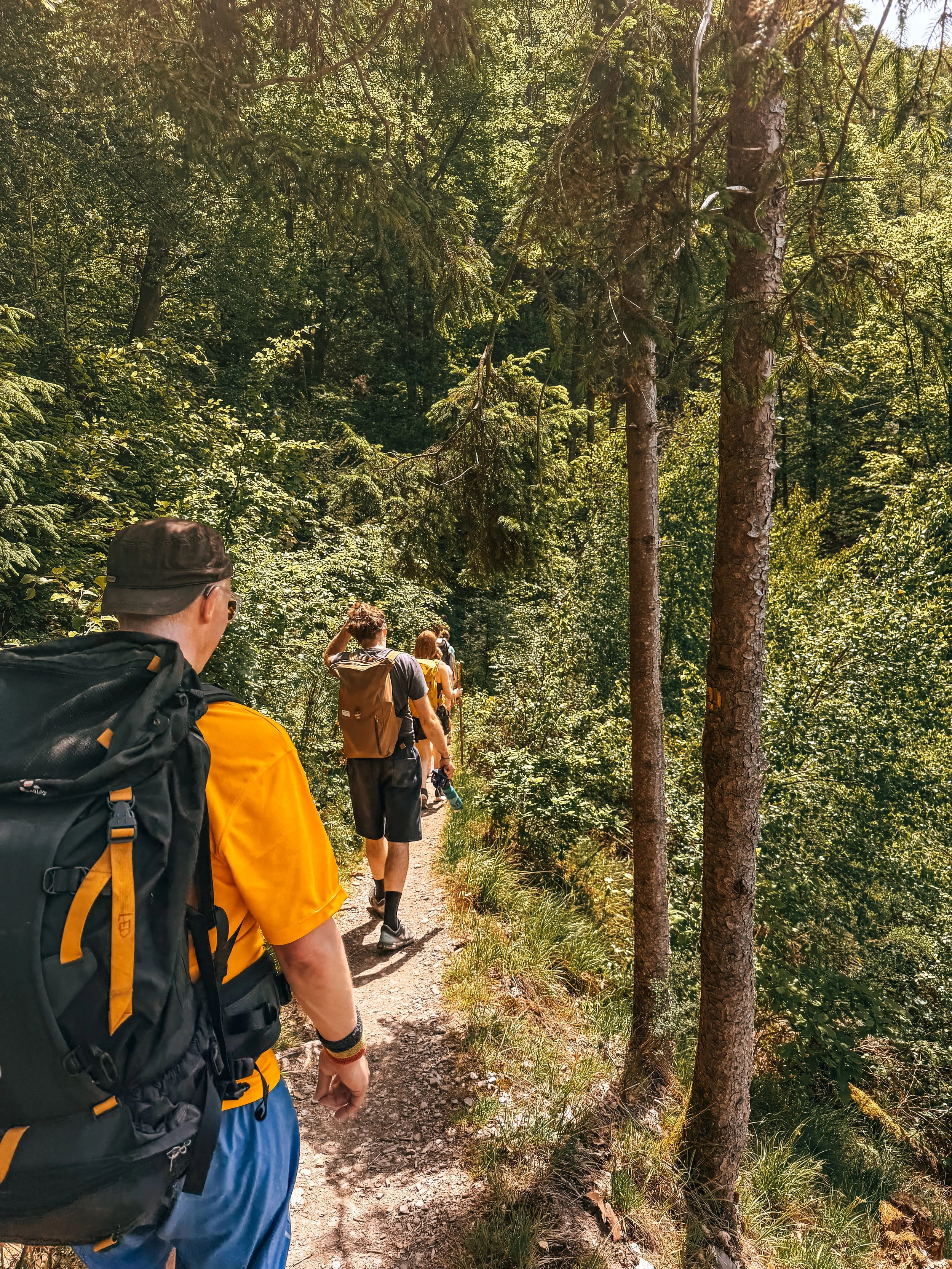 huttentocht in belgie ardennen.jpg
