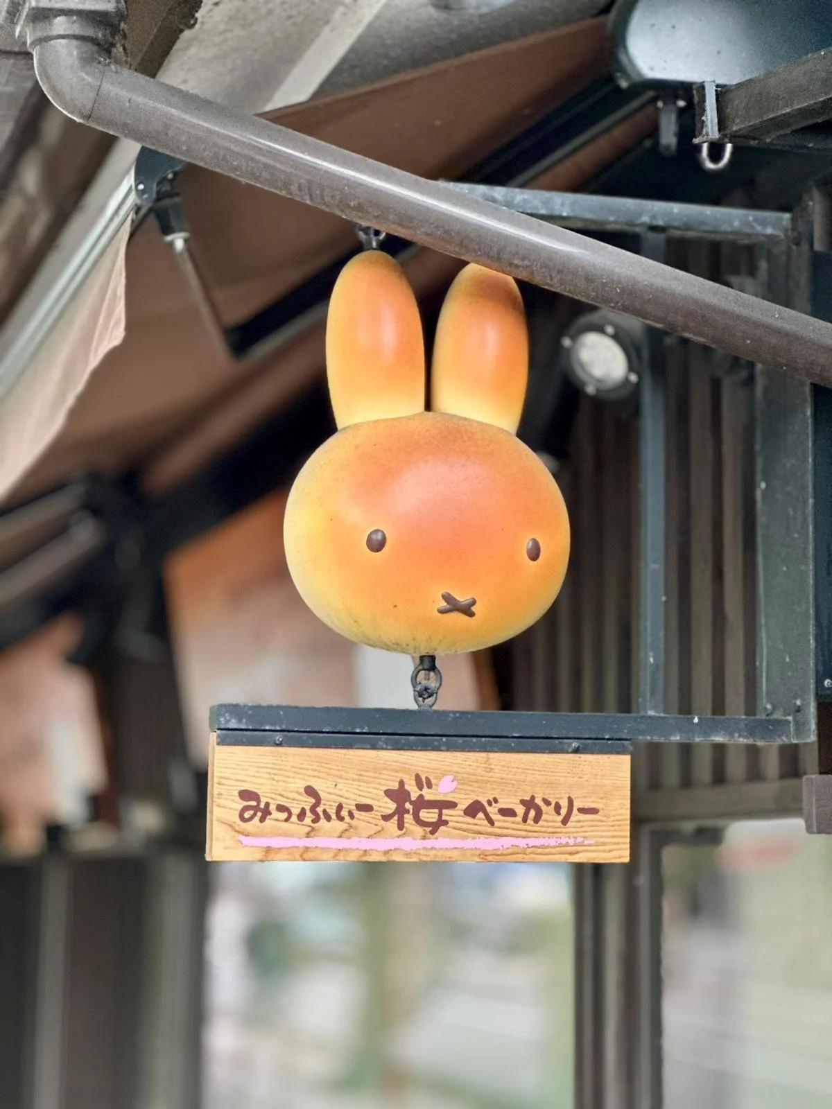 WhatsApp Image 2025-10-08 at 14.39.56 (1).jpeg