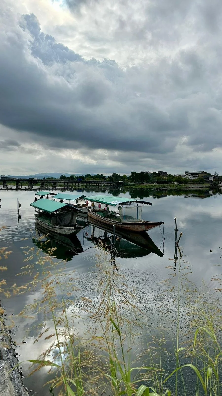 WhatsApp Image 2025-10-08 at 14.39.56 (2).jpeg