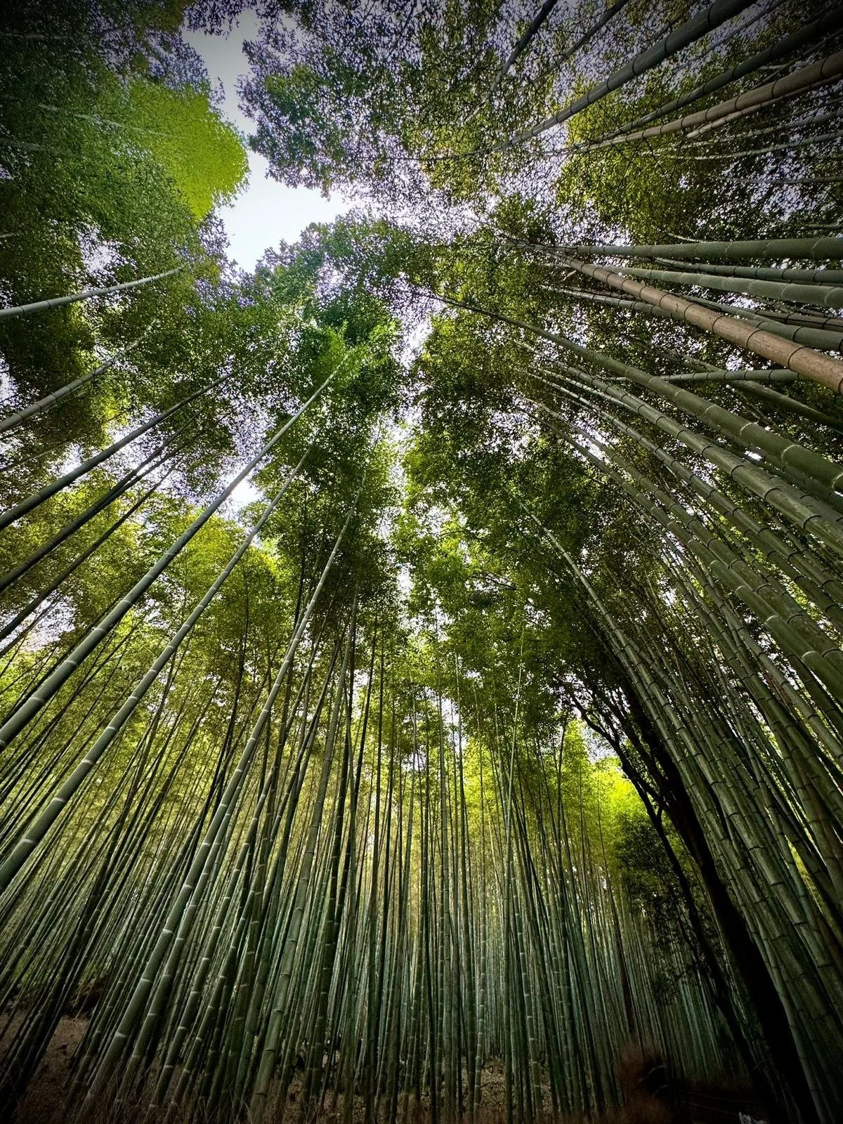 WhatsApp Image 2025-10-08 at 14.39.56.jpeg