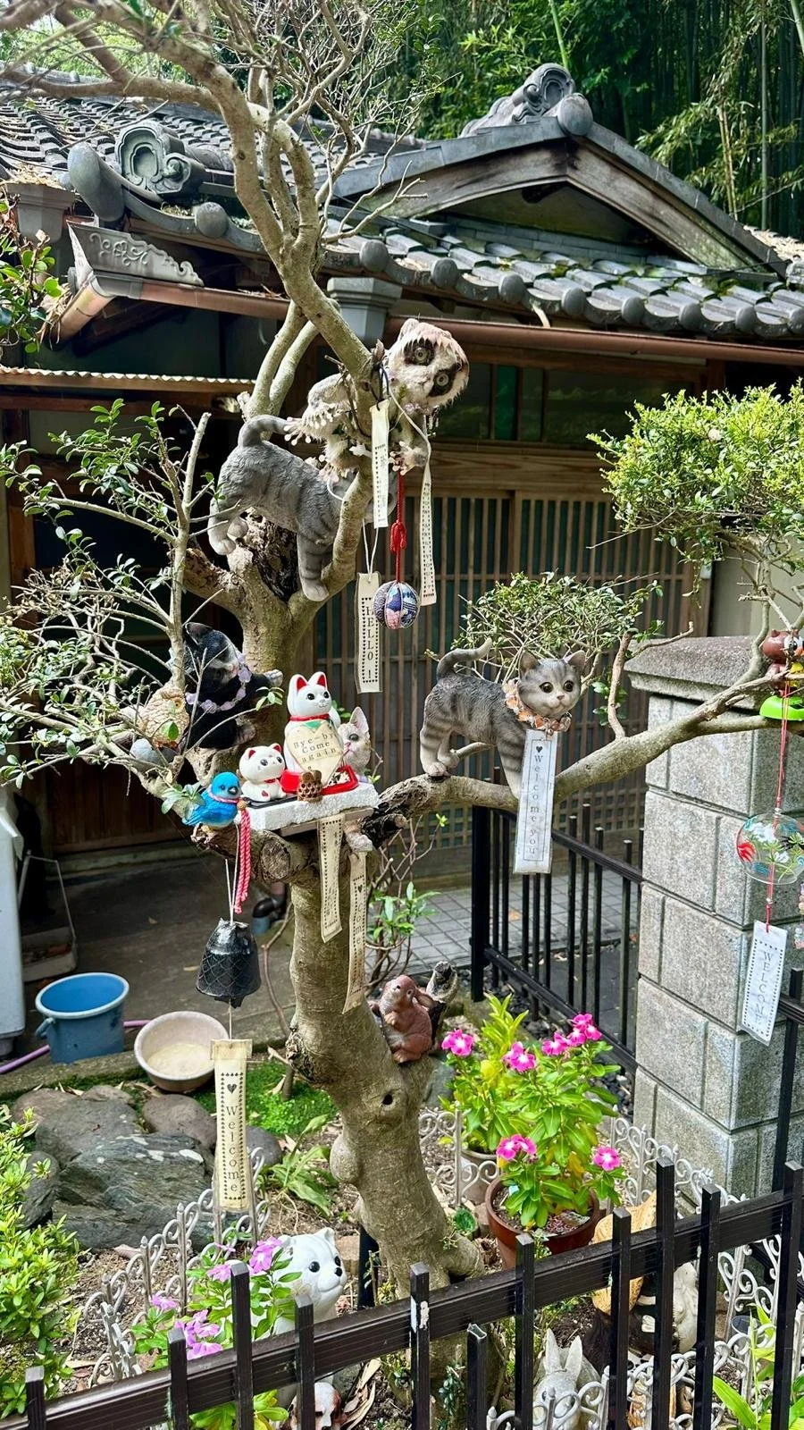 WhatsApp Image 2025-10-08 at 14.39.56 (3).jpeg