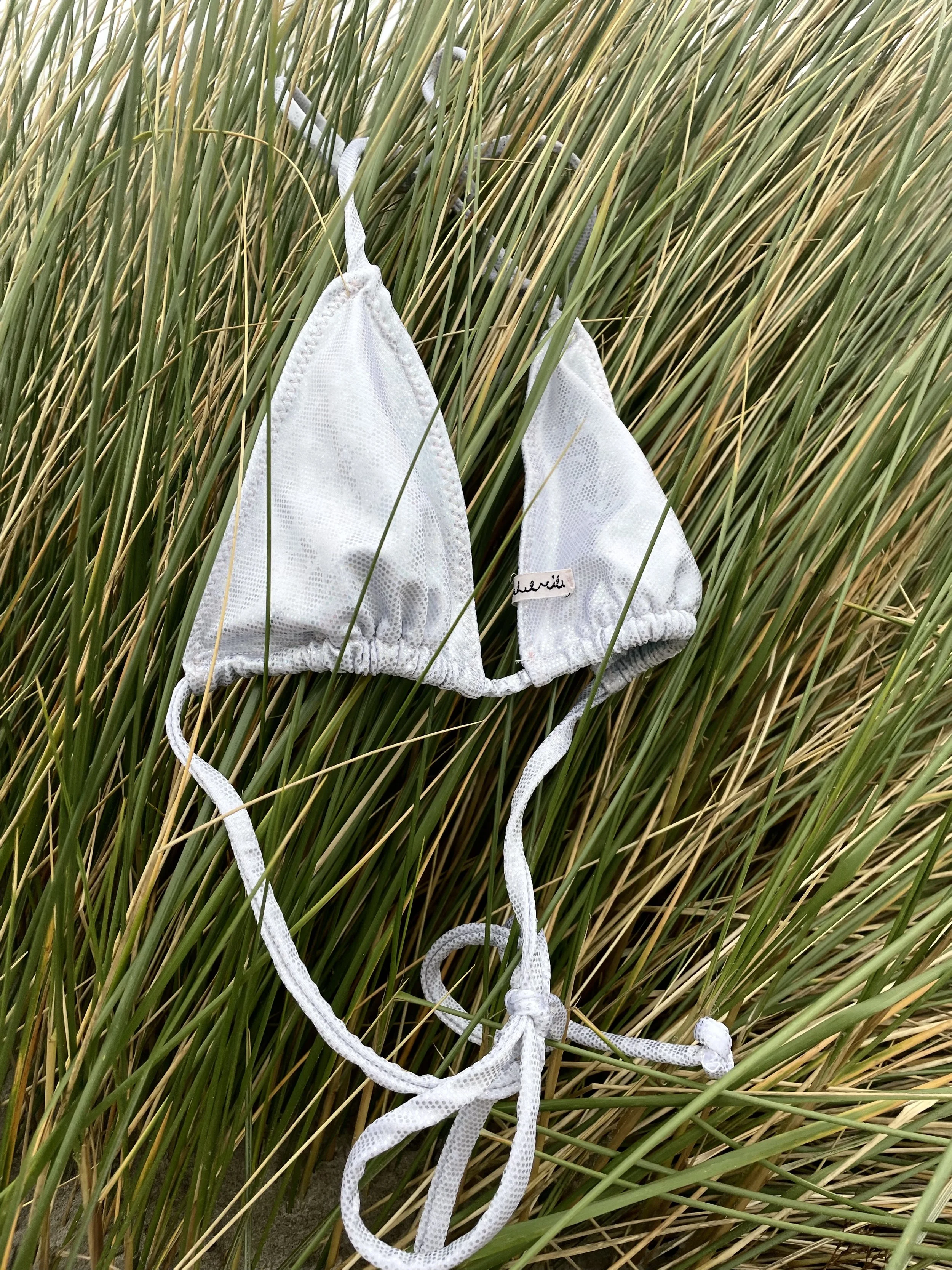 IMG_8521.jpeg (Copy)