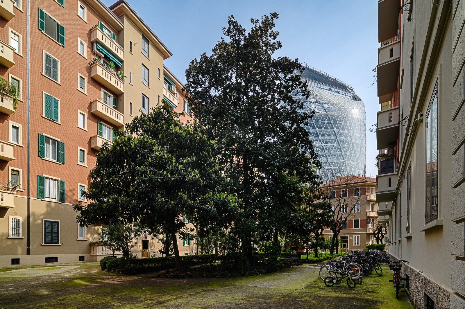 PHOTO-2026-02-26-14-03-51 2.jpg