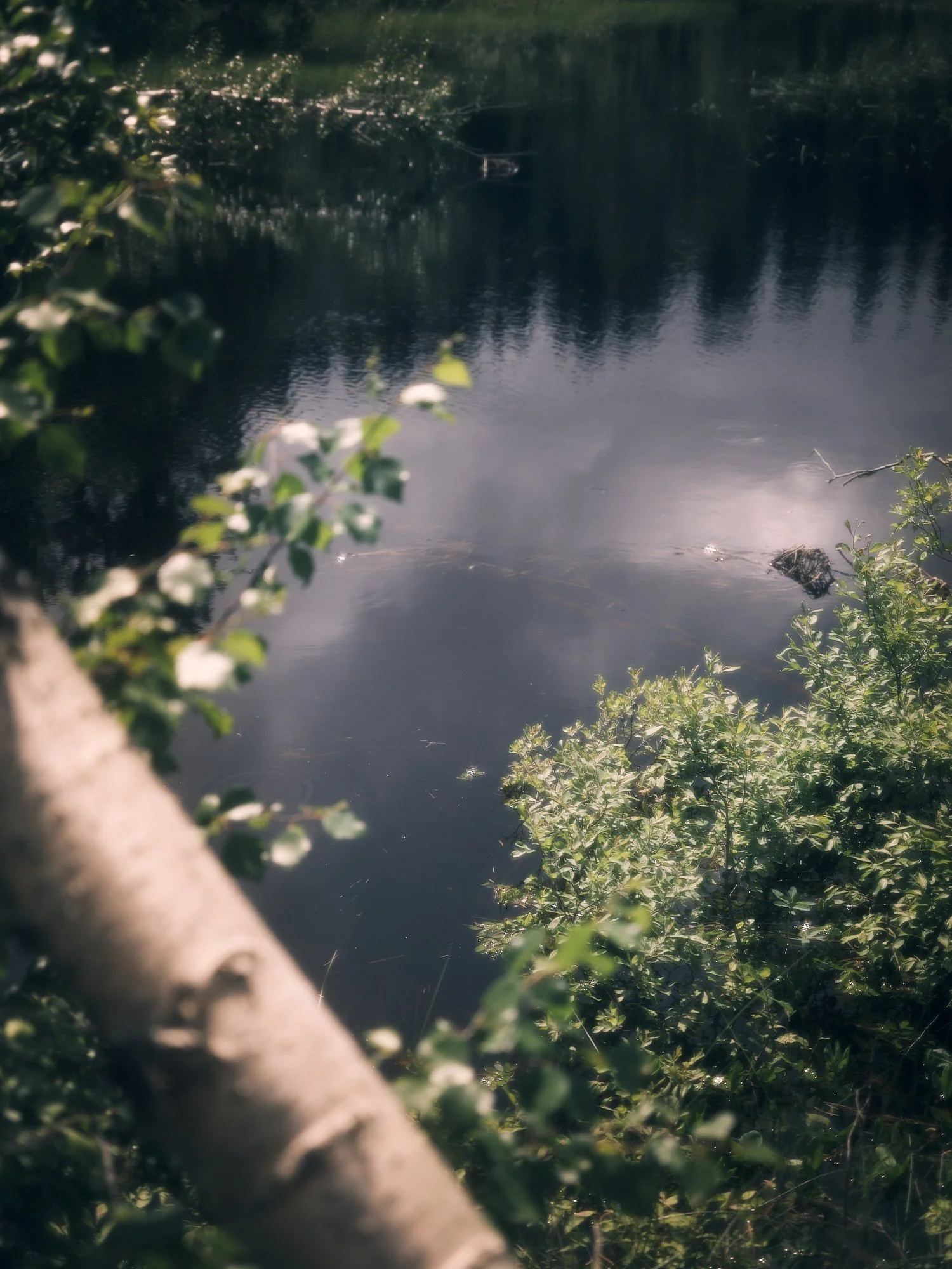 stine_p_joergensen 16.jpg