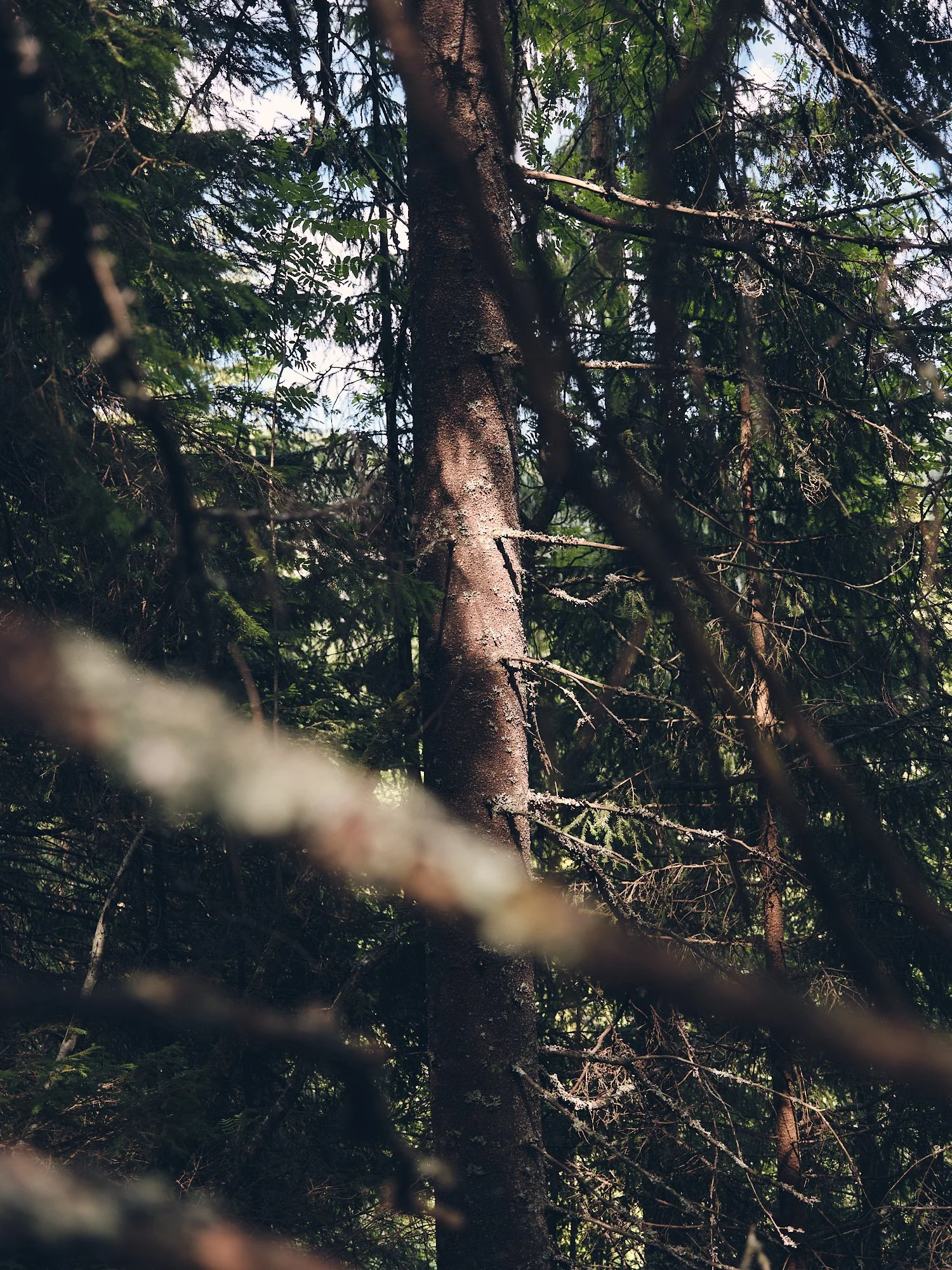 stine_p_joergensen 12.jpg